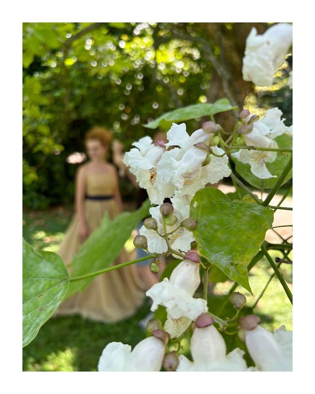 NOVARESE Dress Officialのインスタグラム：「⁡ 撮影の舞台となったのは北イタリアの邸宅の庭園 緑豊かな庭園に咲き誇る紫陽花がゴールドのドレスをさらに美しく魅せます ⁡ お問い合わせ、試着予約は、お近くのノバレーゼまで ⁡ Dress: EPNV95 (Novarese) @novaresewedding  ⁡ #ノバレーゼウエディング #ノバレーゼ #ノバレーゼドレス #プレ花嫁 #東京花嫁 #関西花嫁 #名古屋花嫁 #広島花嫁 #福岡花嫁 #ウエディングドレス #ノバレーゼ花嫁 #novaresewedding #novarese #novareseexclusive」