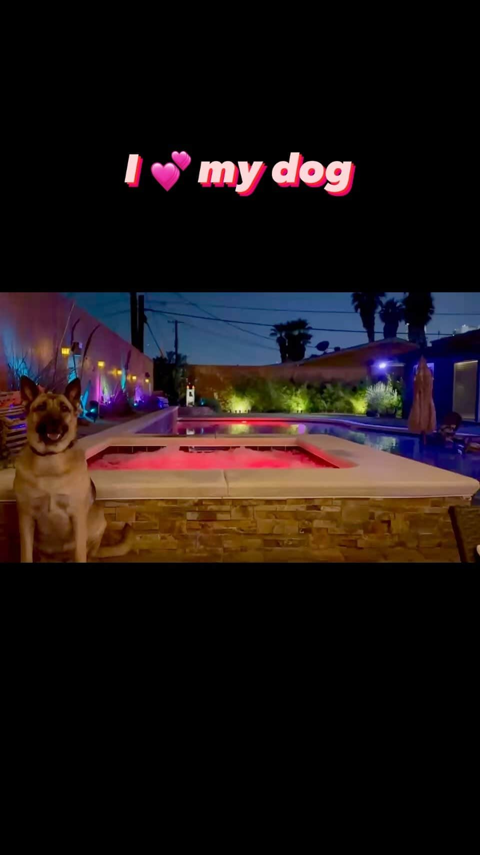 メリッサ・アンダーソンのインスタグラム：「Not the #LavaDog guarding the spooky hot tub!  @scarlettdeadrich #dogsofinstagram #lavahousevegas」