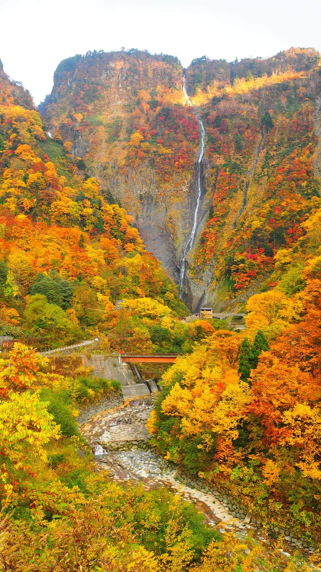 ANA CROWNE PLAZA TOYAMAのインスタグラム：「富山県の観光名所「称名滝（しょうみょうだき）」が、紅葉の見頃を迎えています🍁  ANAクラウンプラザホテル富山では、ホテルの玄関に手配ができるレンタカー付き宿泊プランをご用意しております。 ぜひ富山の秋のドライブにいかがでしょうか🚗  #anaクラウンプラザホテル富山  #レンタカー  #紅葉  #ドライブ  #称名滝  #富山」