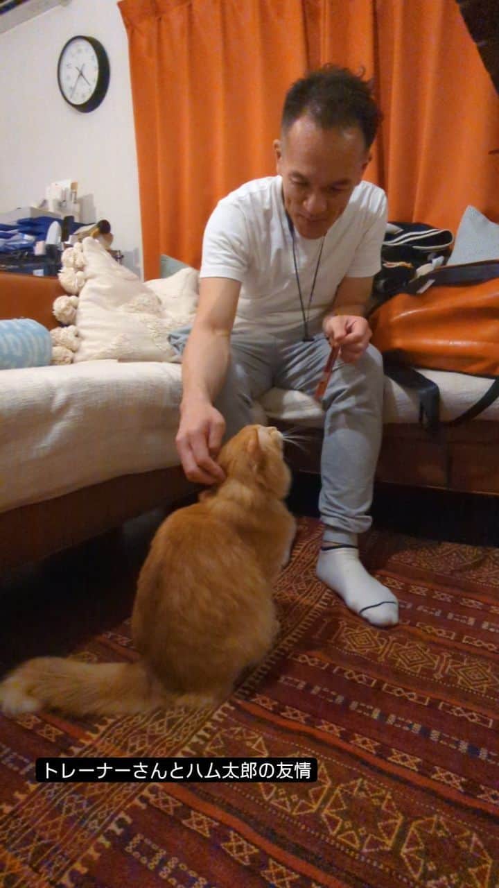岡田屋鉄蔵のインスタグラム