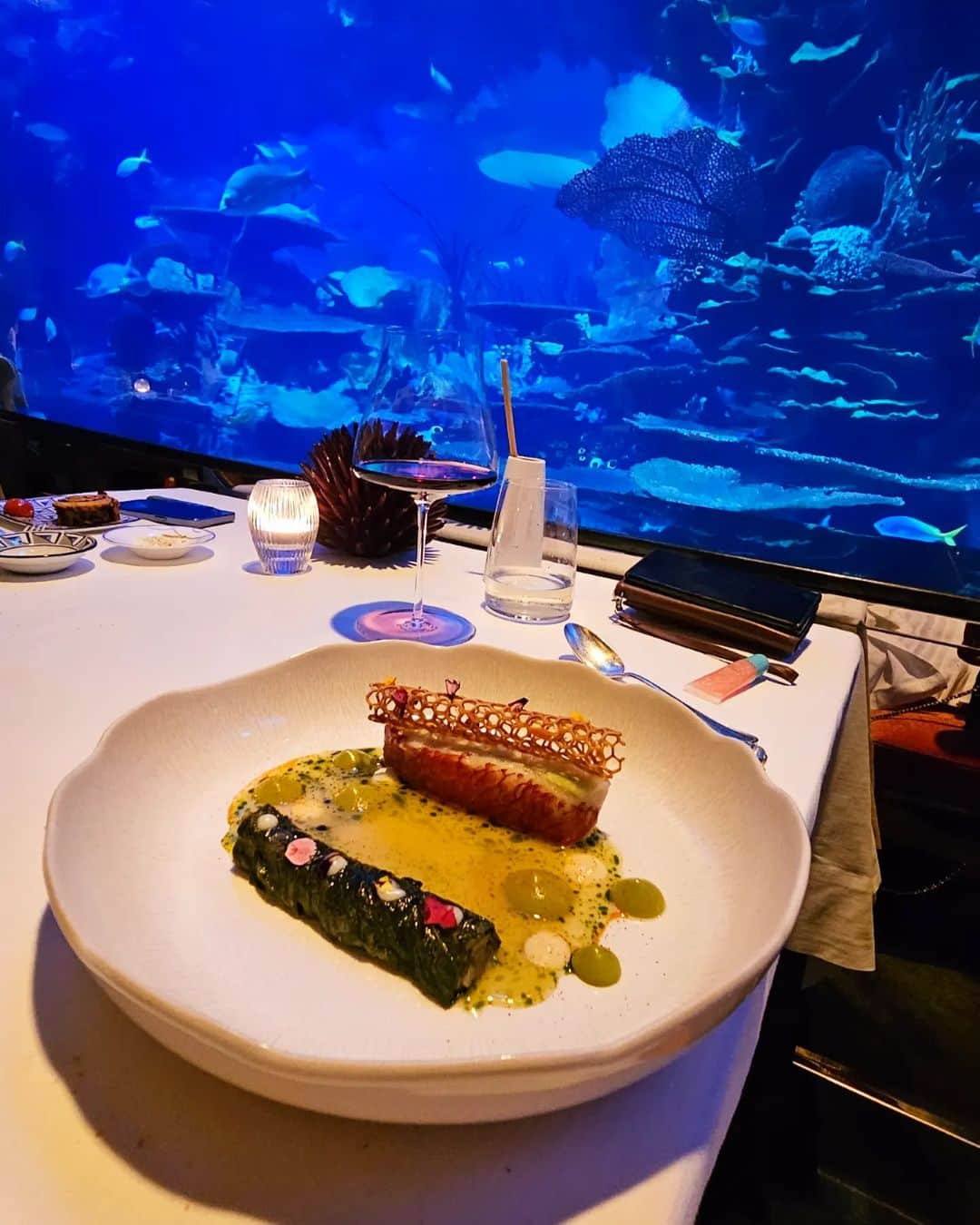 Nicole Chenさんのインスタグラム写真 - (Nicole ChenInstagram)「Before a DJ gig, fine dinning at its best! Celebrating a birthday and enjoying the best of what Dubai can offer! Amazing ocean dinning at Al Mahara Restaurant , 2 star Michelin star . Beautiful fishes and sea creatures. #michelinstar #2starmichelin #2starmichelinrestaurant #dubairestaurants」10月27日 16時19分 - nicolechen.tv