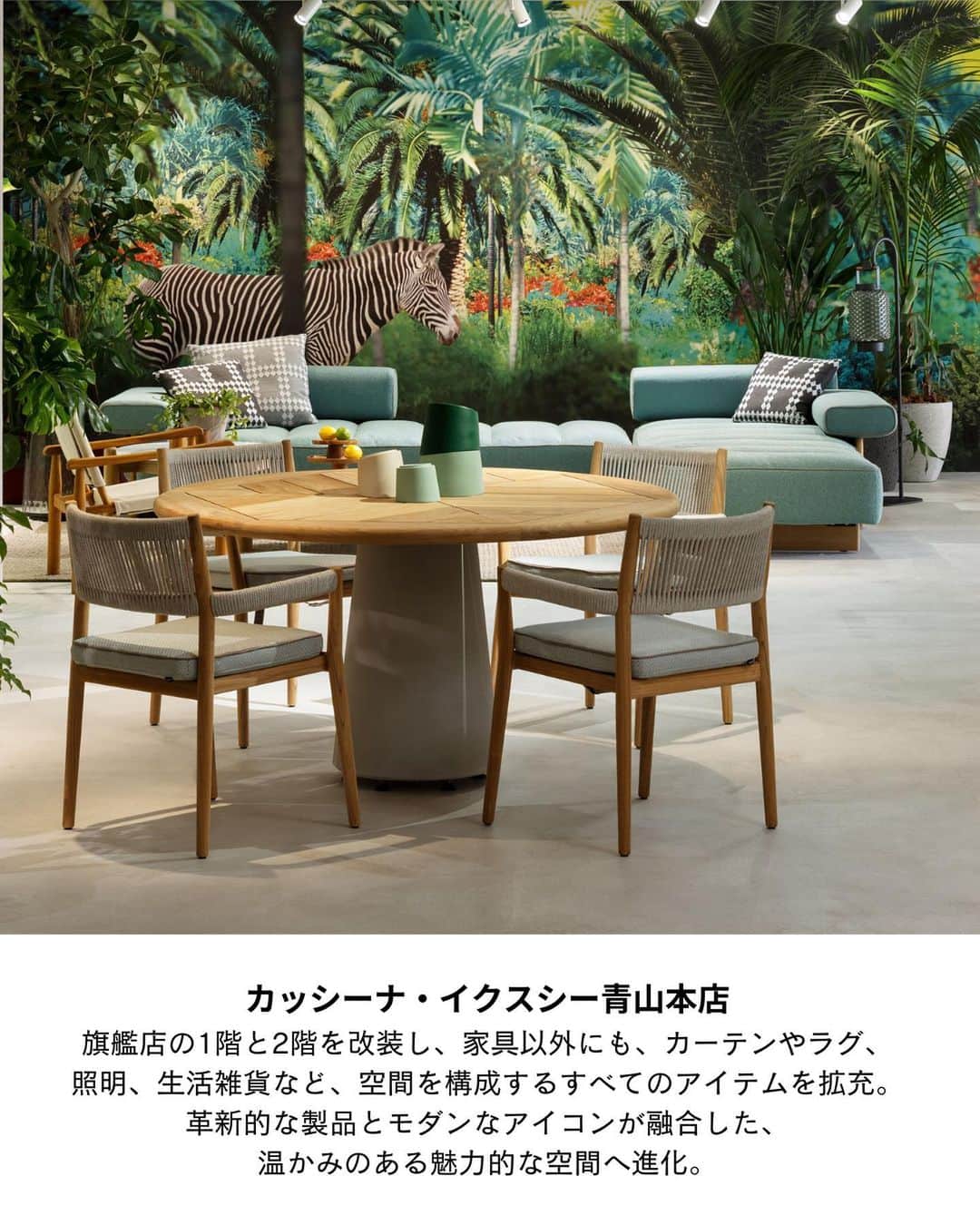 ELLE DECOR JAPANさんのインスタグラム写真 - (ELLE DECOR JAPANInstagram)「11月3日（金・祝）まで、『エル・デコ』が最新のデザイン情報に出合えるデザインイベント #エルデコデザインウォーク が開催中！  今回は、編集部が選んだ「チェックすべきニューオープン＆リニューアルのショップ」をご紹介。注目のポイントをチェックして、ショップ巡りに出かけよう🪑  ・アルフレックス リストア ・カッシーナ・イクシー青山本店 ・アクタス・丸の内店  Text : Ayako Takahashi  #エルデコデザインウォーク #エルデコデザインウォーク2023 #elledecordesignwalk #elledecordesignwalk2023 #秋のイベント #インテリアショップ巡り #インテリア好き #イベント情報 #アルフレックスリストア #arflex #arflexjapan #actus #アクタス丸の内 #カッシーナイクシー青山本店 #cassinaixc」10月29日 19時05分 - elledecorjapan