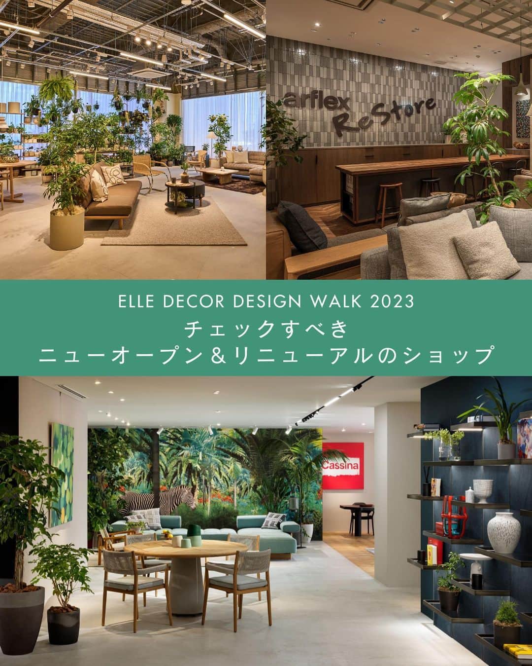 ELLE DECOR JAPANさんのインスタグラム写真 - (ELLE DECOR JAPANInstagram)「11月3日（金・祝）まで、『エル・デコ』が最新のデザイン情報に出合えるデザインイベント #エルデコデザインウォーク が開催中！  今回は、編集部が選んだ「チェックすべきニューオープン＆リニューアルのショップ」をご紹介。注目のポイントをチェックして、ショップ巡りに出かけよう🪑  ・アルフレックス リストア ・カッシーナ・イクシー青山本店 ・アクタス・丸の内店  Text : Ayako Takahashi  #エルデコデザインウォーク #エルデコデザインウォーク2023 #elledecordesignwalk #elledecordesignwalk2023 #秋のイベント #インテリアショップ巡り #インテリア好き #イベント情報 #アルフレックスリストア #arflex #arflexjapan #actus #アクタス丸の内 #カッシーナイクシー青山本店 #cassinaixc」10月29日 19時05分 - elledecorjapan