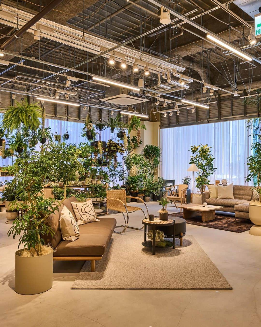 ELLE DECOR JAPANさんのインスタグラム写真 - (ELLE DECOR JAPANInstagram)「11月3日（金・祝）まで、『エル・デコ』が最新のデザイン情報に出合えるデザインイベント #エルデコデザインウォーク が開催中！  今回は、編集部が選んだ「チェックすべきニューオープン＆リニューアルのショップ」をご紹介。注目のポイントをチェックして、ショップ巡りに出かけよう🪑  ・アルフレックス リストア ・カッシーナ・イクシー青山本店 ・アクタス・丸の内店  Text : Ayako Takahashi  #エルデコデザインウォーク #エルデコデザインウォーク2023 #elledecordesignwalk #elledecordesignwalk2023 #秋のイベント #インテリアショップ巡り #インテリア好き #イベント情報 #アルフレックスリストア #arflex #arflexjapan #actus #アクタス丸の内 #カッシーナイクシー青山本店 #cassinaixc」10月29日 19時05分 - elledecorjapan