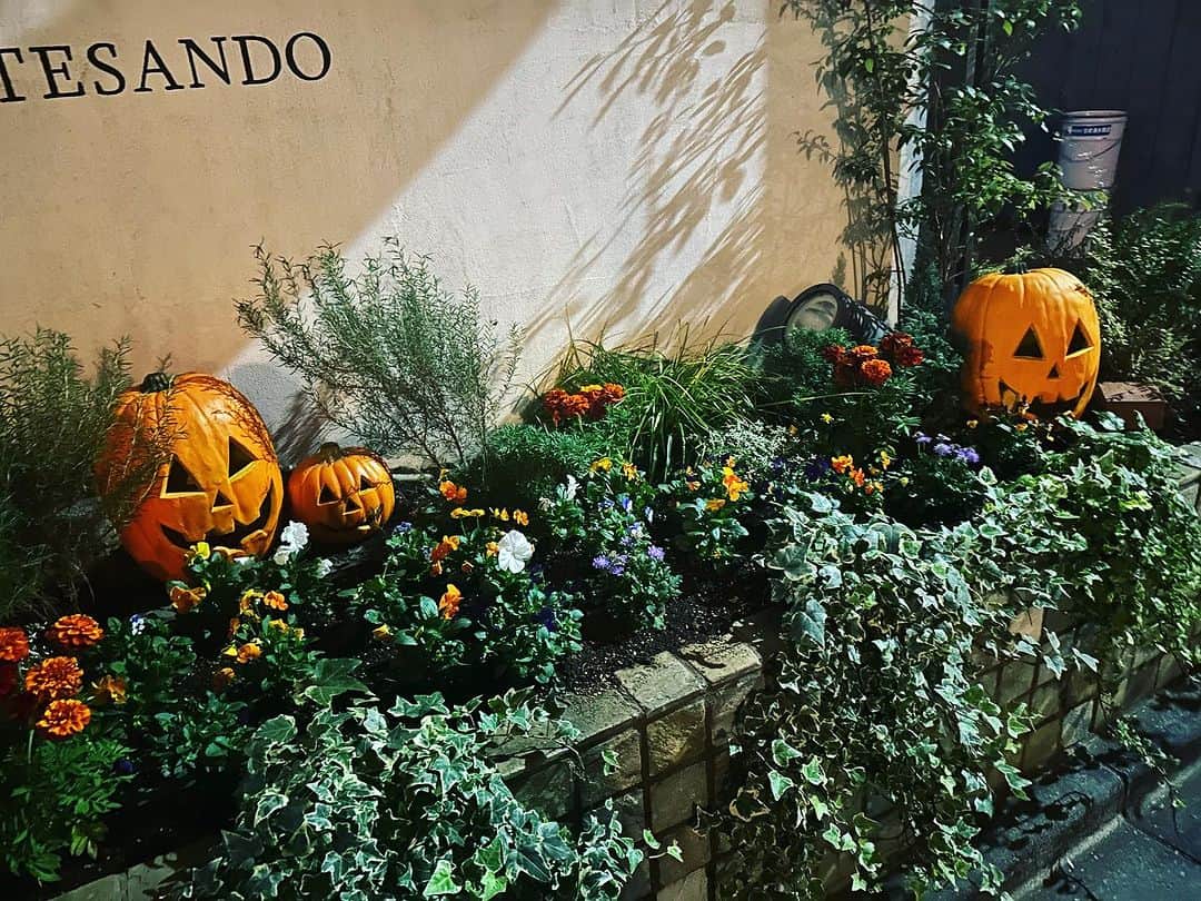 のインスタグラム：「ハロウィン🎃 #時期ですね #何もしないけれど #可愛いオブジェは飾ります」
