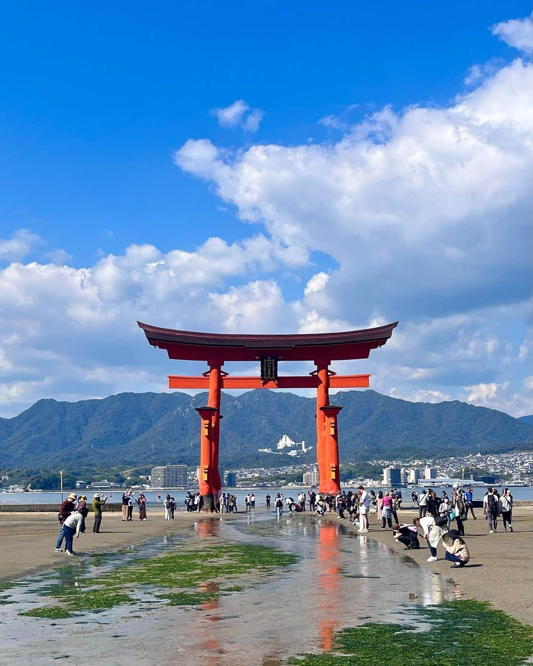 渋谷栞南さんのインスタグラム写真 - (渋谷栞南Instagram)「Recently I’ve been working on a big job, and it was completed a few days ago. I went to Hiroshima for the job, so I took a small solo trip on the last day⛩🫶 They have lots of amazing food like oysters, momiji manju and okonomiyaki. If you have a chance, you should definitely visit Hiroshima🥳  I’m going to start posting videos again in the next few days! Please check them out🫶  最近大きなお仕事に取り組んでいたのですが無事終えることができました。広島に行ったので最終日は1人旅⛩🫶 牡蠣、もみじ饅頭、お好み焼き、、、美味しいものたくさん食べてきました！🫃機会があれば是非訪れてみてくださいー！！  また数日のうちに動画の投稿を再開する予定です、是非チェックしてみてください🫶  #hiroshima#solotrip#広島#広島1人旅#広島観光 #japantravel #japantrip #hiroshimajapan #miyajima#miyajimaisland #宮島#宮島観光 #japanesegirl #japanesefashion #japaneseculture #japanstyle #日本語勉強 #日本語勉強中 #jlpt#japaneseuniversity」10月27日 19時05分 - kannashibuya_japan