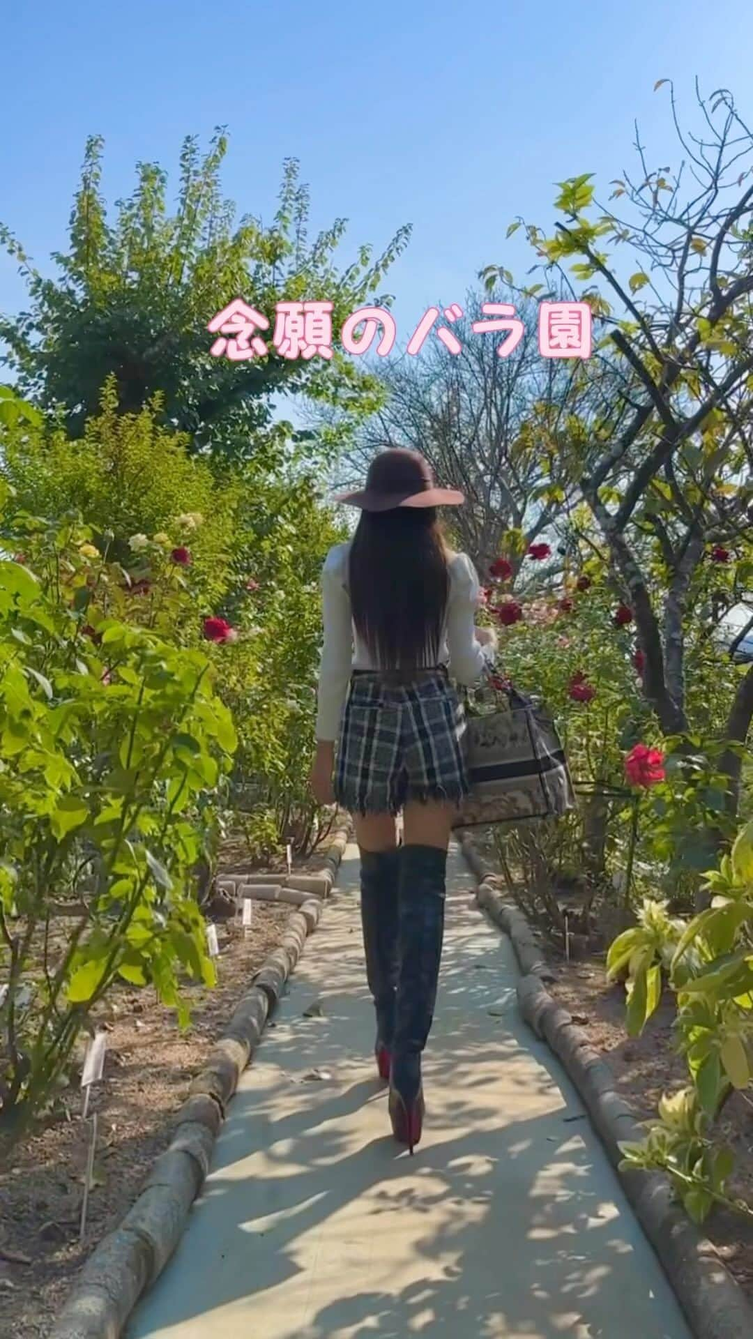 マキろんのインスタグラム：「念願のバラ園へ🌹桜と同じく見頃があるので 思ったら即行動でチャンスを、逃さないのが私😇 今年47歳になりますが若いかたに是非これだけは 言っておきたい🙋‍♀️‼️  ①チャンスが来たらさっと行動 ②次のチャンスといい男は 2度と現れない‼️‼️‼️  20代のときの 即行動エピソード1️⃣ LA留学中の友達と"会いたいねぇ"電話してて "じゃあLAX✈️で待ち合わせね😌" 飛行機に飛び乗って翌日✈️LAX到着 ビバリーヒルズ、サンタモニカ、 からにはラスベガスに飛んで砂漠をセスナで飛行 グランドキャニオンでカフェして帰った 道中はひとり旅なので色んな国の友達ができた  2️⃣行けなくなった200万の豪華プーケット旅行に 今すぐ行ける人いないかな❓いけます🙋‍♀️❗️ 超贅沢なプーケットで行きたかったホテルに滞在 クルージング貸切で世界遺産にも無料でいけた😂 即行動の力凄すぎる‼️  3️⃣海鮮をヘリ🚁で食べに行くから今から来れる❓ 行けます🙋‍♀️無料でヘリに乗り美味しい海鮮をたらふくいただけた。送り迎えはリムジンでした😂即行動の力すご‼️  4️⃣ゴルフに明日行ける人を探してる⛳️行けます🙋‍♀️‼️ けど、下手くそだからどうしよう❓って相談したら ゴルフ場を半日貸切にしてくれた😂即行動の力凄すぎる❗️  即行動のパワーはほんと邪魔が入る隙間がないほど スムーズに夢が叶うところがすごい‼️  こう❗️と思ったら 行動すべし❤️ そこには2度と体験できない 貴重な体験もたくさんあります✨  #薔薇のある暮らし #薔薇園  🌹#姫路バラ園  @himejibaraen   #山内智恵　#アラフィフライフ #チャンスを掴める人はここが違う」