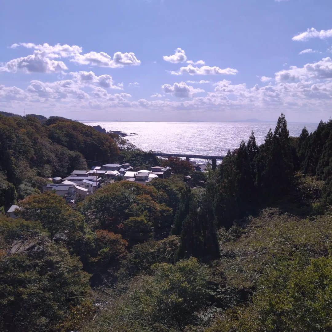 宮崎文子さんのインスタグラム写真 - (宮崎文子Instagram)「秋のたび。1。  アップルパイをもぐもぐして。 ずっとずっと欲しかったわっぱ弁当箱をつくって。 ししがみ様の森をテクテクして。 青い水面に姿を写し、 日本海の厳かな夕日をみてきました。  #去年はグランドキャニオンに行きそこねたので #日本キャニオンをみてきました。」10月27日 16時56分 - fumiko.miyazaki29
