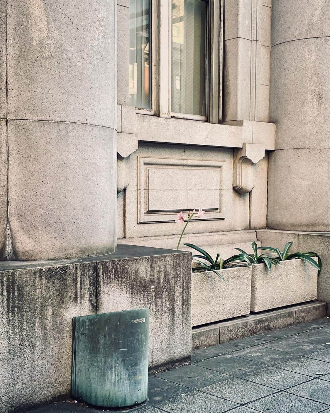 早織さんのインスタグラム写真 - (早織Instagram)「馬車道」10月27日 17時12分 - saorioboegaki