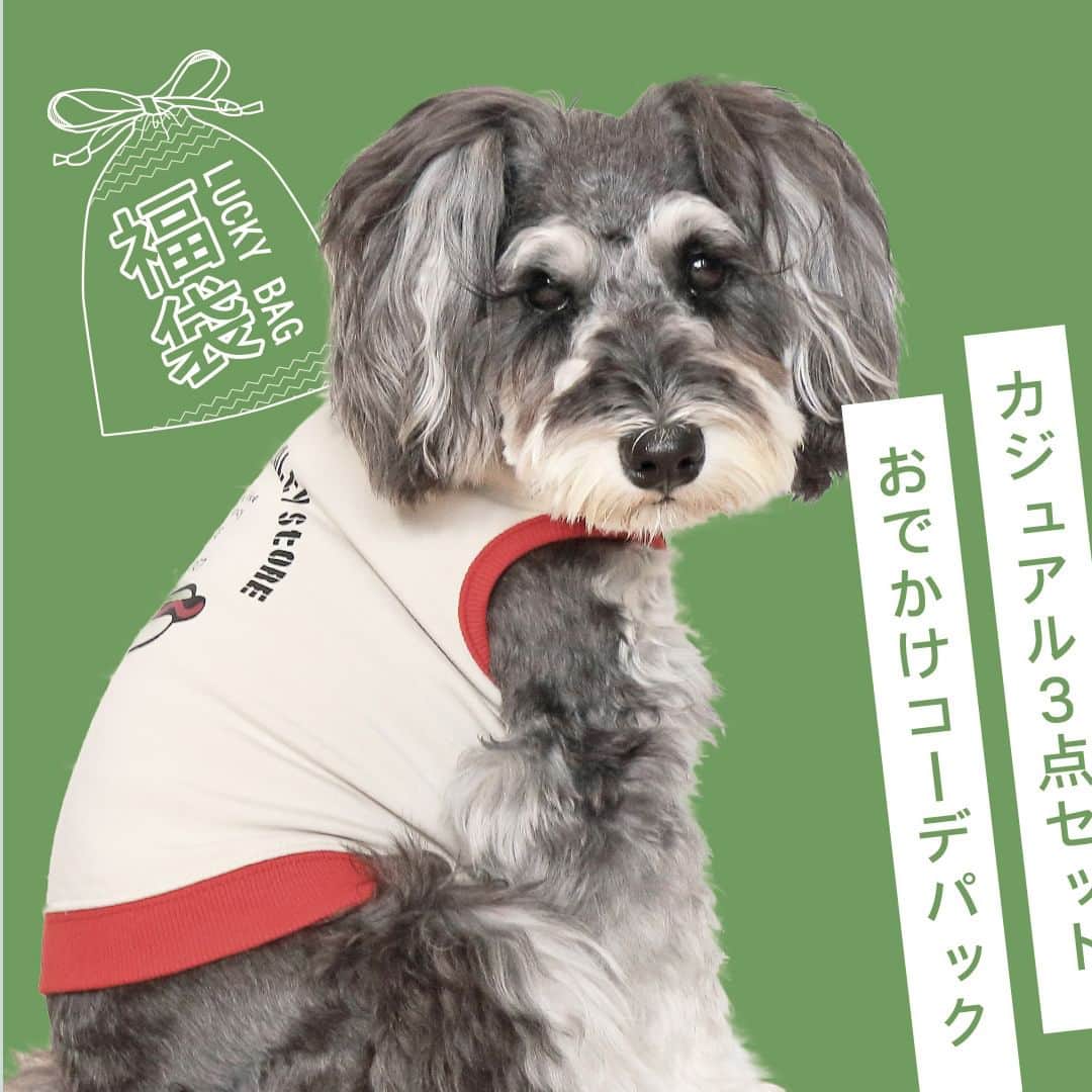 iDog&iCatのインスタグラム：「「福袋 おでかけコーデパック」好評発売中🤩  愛犬家のスタッフが本気で企画したドッグウェア福袋。 おでかけにオススメの秋服3枚セットの犬の服の福袋です。 巾着袋付きでプレゼントにもオススメ。  あけた時に笑顔になってもらえるようにiDog自信作の犬用洋服を詰め込みました！ 秋冬はもちろん、春先のおでかけにもピッタリの新作ウェアが3枚で3278円のお得なドッグウェア福袋です！  商品番号/13739- 商品名/iDog 福袋 おでかけコーデパック アイドッグ 3,278円(税込)  #IDOGICAT #犬の服IDOG #ICAT #IDOG #ドッグウェア #ペットウェア #犬服 #犬の服 #秋冬新作 #2023AW #犬 #猫 #新作 #新発売 #dog #cat #わんすたぐらむ #うちの子優勝 #秋冬 #新商品」