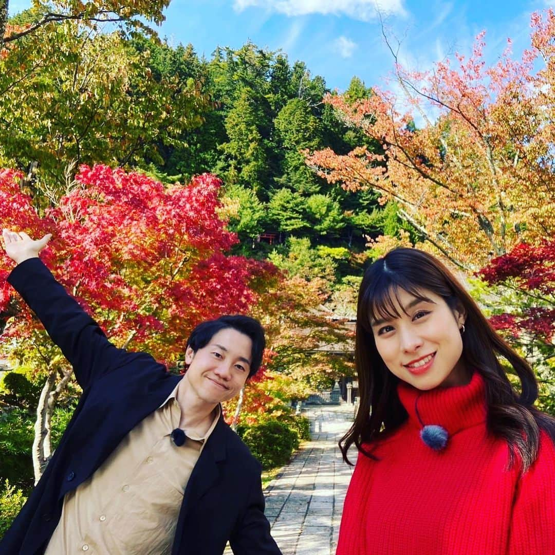 朝日放送「おはよう朝日土曜日です」のインスタグラム：「高野山に紅葉がやってきたよー🍁 #高野山#世界遺産#南海電鉄 #土日どーする #10月28日放送#見てね  #おは土#おはよう朝日土曜日です#ABCテレビ #北村真平#ABCアナウンサー #高樹リサ」