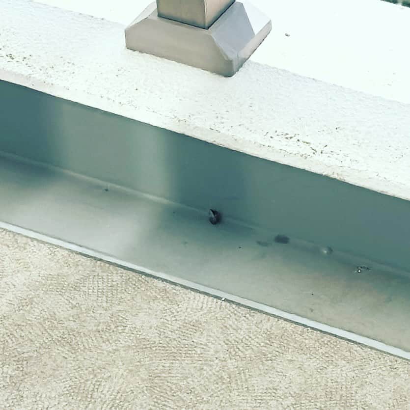 のインスタグラム：「ここ数日でベランダカメムシ一匹…奴らの増殖は止まったのか…」