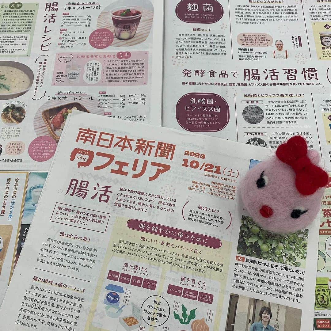 南日本新聞フェリアのインスタグラム