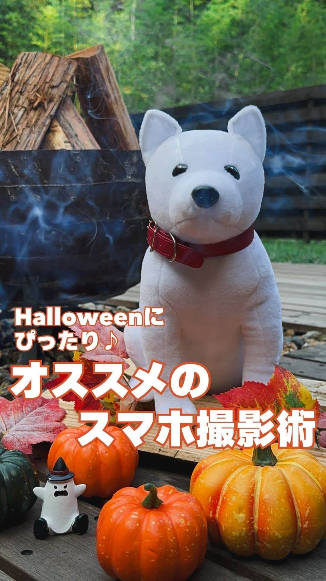 ソフトバンク(SoftBank) のインスタグラム：「Happy Halloween👻🎃 ・ 今年のハロウィンはお父さんを連れてグランピング場に来ましたよ～！🏕️  動画を参考にしてハロウィンらしい写真を撮ってね～  皆さんは今年のハロウィンは どうお過ごしでしょうか？🎃  コメントで教えてね！✨ いいねとフォローしてもらえると めちゃ喜びます😊  -——————————— フォローはこちらから ↓↓↓↓↓↓↓↓↓↓↓↓↓↓↓↓↓↓↓↓ @softbank_official  使用端末📱：iPhone 14 Pro  #SoftBank #ソフトバンク#iPhone14 #iPhone14で撮影 #iPhone撮影 #iPhone14Pro #iPhone #スマホテク #スマホ撮影#撮影方法 #撮影の裏側 #動画の撮り方 #ハロウィン #ハロウィン加工 #秋#キャンプ#グランピング」