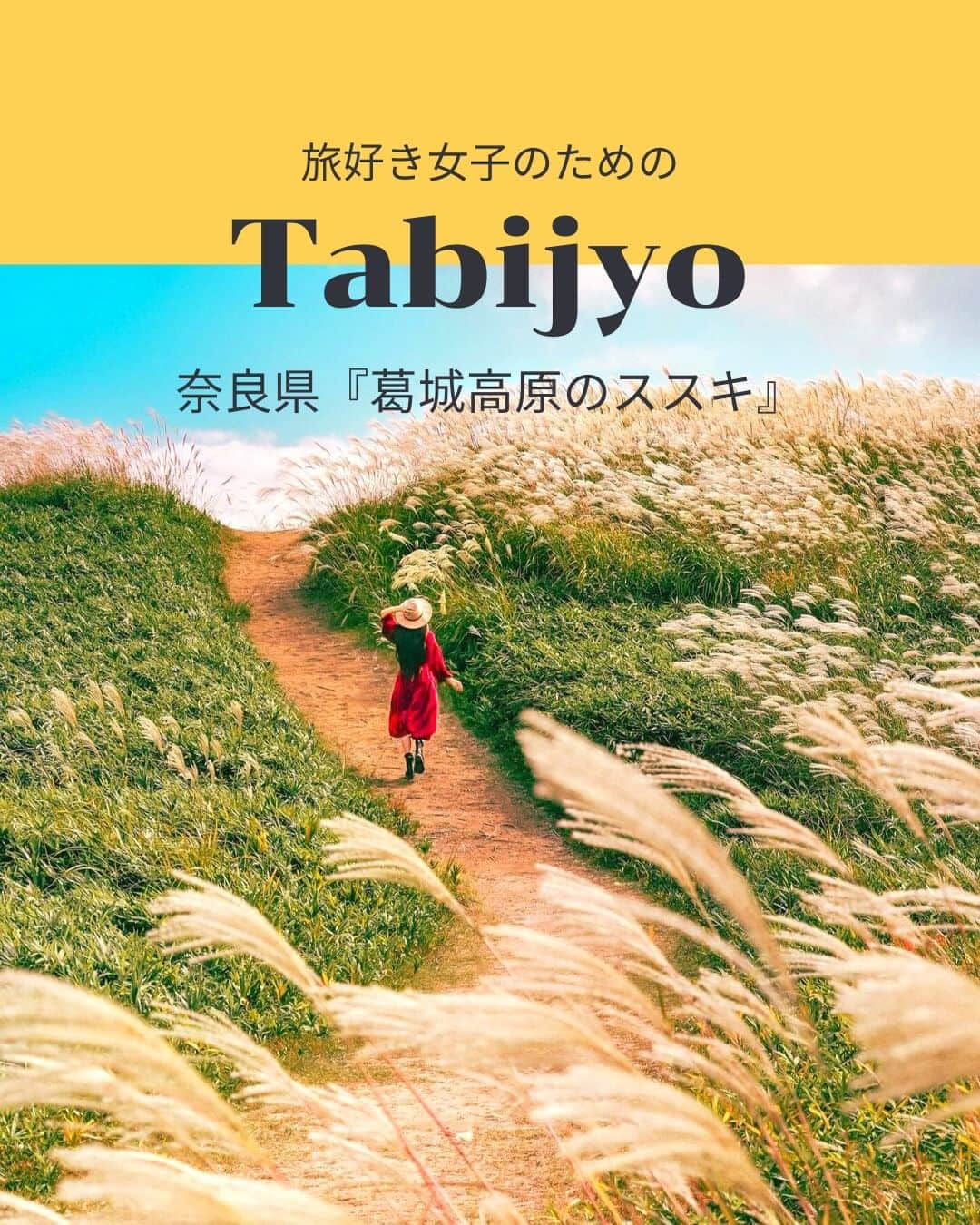 タビジョさんのインスタグラム写真 - (タビジョInstagram)「他のスポットはここから👉@tabi_jyo  奈良県『葛城高原のススキ』  本日の #タビジョ は ／ @nonnon_0727 さんの投稿をシェア💛💙 ＼  ☻︎☻︎✈︎✈︎✈︎✈︎✈︎✈︎✈︎✈︎✈︎✈︎☻︎☻︎  本日は @nonnon_0727 さんの投稿をリポスト🥰 奈良県の葛城高原では10月下旬までススキが見頃です🌾✨ 登山口から山頂まではロープウェイでも行けるので 慣れてない方も安心😊🤎  ☻︎☻︎✈︎✈︎✈︎✈︎✈︎✈︎✈︎✈︎✈︎✈︎☻︎☻︎  @tabi_jyo アカウントでは旅先の新たな魅力を発信中✨ スポットや写真の撮り方の参考におすすめ💛 レポーター募集などはアカウントから配信しているよ👭 気になる方はフォローしてね🫶  #タビジョ #旅行 #tabijyo #国内旅行 #tabijyomap_japan #奈良旅行 #奈良県 #葛城高原 #ススキ #紅葉 #紅葉狩り」10月27日 18時01分 - tabi_jyo