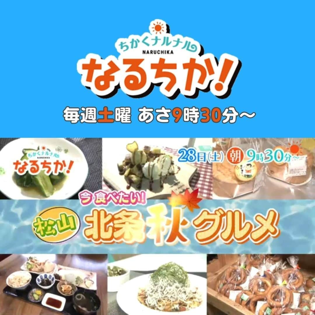 愛媛朝日テレビ アナウンサーのインスタグラム：「★ ／ 📺明日あさ9時30分 #なるちか！ ＼  【秋の北条エリア満喫グルメ】  道の駅「風和里」で大人気のドーナツ 今が旬の剣先イカも！  🎦中継は「マイナビビーチバレーボールツアー2023」の会場から！  #愛媛朝日テレビ」