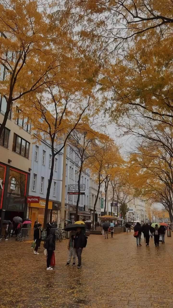 Wien | Viennaのインスタグラム：「Autumn walks in #Vienna be like…🫶🍁 #CelebrateVienna #ViennaNow  #vienna #wien #vienna_austria #viennagoforit #visitvienna #viennagram #ilovevienna #statdtwien #wienliebe #1000thingsinvienna #viennawurstelstand #autumn #autumnvibes #autumncolors #autumnleaves #mariahilferstraße #shoppingstreet #shopping #travelgram #traveleurope #travelreel」