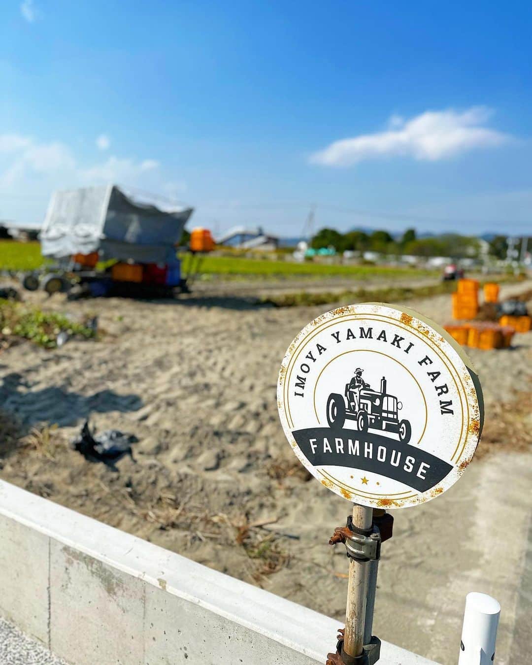 川人未帆さんのインスタグラム写真 - (川人未帆Instagram)「・ 毎日さつまいもを食してる私。 徳島の友達から焼き芋屋さんオープンするらしい、 と聞いて調べて行ってきた🍠❣️ さつまいも農家さんの焼き芋屋さん🍠　@imoyayamaki  何種類かある中から里浦ゴールドというものを。ランチ前だったので小ぶりのものにしてもらいました🥰 ほどよいねっとり感と熟成させた甘みがたまらぬ🤤 冷やし芋トッピングできるソフトクリームもあるみたいなので、また行きたい❤️💖❤️」10月27日 18時13分 - miho0319kawahito