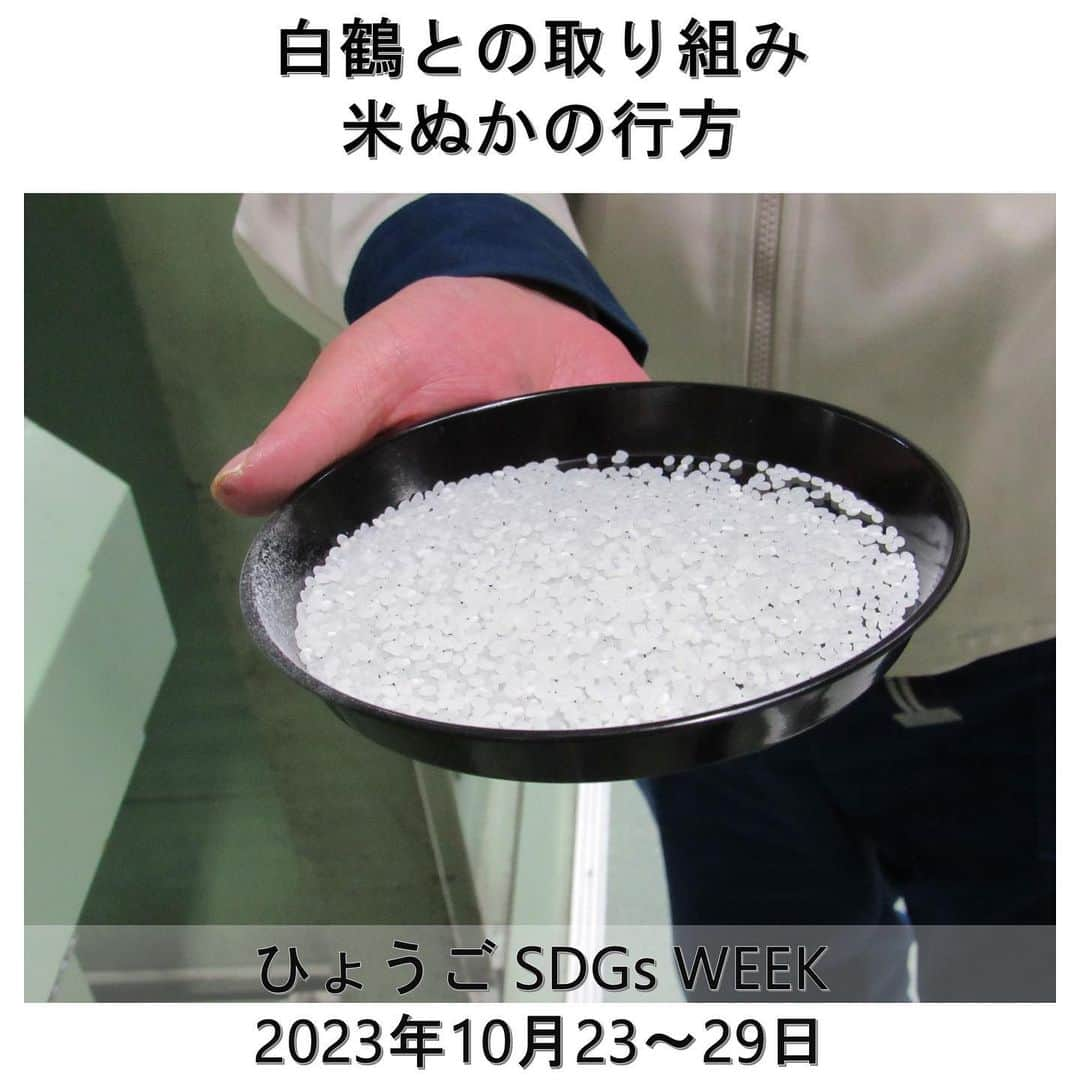 白鶴酒造株式会社さんのインスタグラム写真 - (白鶴酒造株式会社Instagram)「♻️ 【ひょうご ＳＤＧｓ ＷＥＥＫ】 10月23日～29日は、“ひょうごSDGs WEEK”です。 期間中、SDGsにまつわるあれこれをご紹介してきました。  日本酒づくりの副産物のお話！ 副産物には、精米した時に出る「米ぬか」、 もろみをしぼったときに出る「酒粕」、 ろ過の際に酒の香味の調整で使うことがある「活性炭」があり、 当社では全てが廃棄されずに有効活用されています。  今日は「米ぬか」の行方について。 米の外側にあるたんぱく質や脂肪などは、 お酒の雑味や着色の原因となるので、 目指す酒質にあわせて精米します。 （大吟醸用のお米は外側を６割以上磨くので 約２日もかかります。）  「米ぬか」は、外側から 「赤ぬか」「並白/中白」「上白」「特白」と 4つに分類され、 「赤ぬか」は米油の原料や、キノコ栽培の培地に、 「並白/中白」は飼料や肥料に、 「上白/特白」はお酢の原料やお菓子の原料に 使われています。 みなさんにお馴染みのアノお菓子にも(*´∀`)♪  農家さんが大切に育ててくれたお米は、 あますところなく有効に使われています。  ひょうごＳＤＧｓＷＥＥＫは今日までですが、 企業も私たち１人1人も、 サステナブルを意識した活動を 継続していく必要があると改めて感じた１週間でした🌎  ▼米を「磨く」精米技術 https://demokurashi.net/nihonsyu/2020/06/12/post-3385-2/  ▼米ぬかは何処へゆく https://demokurashi.net/nihonsyu/2020/10/31/komenuka/  ▼白鶴のCSR活動 https://www.hakutsuru.co.jp/corporate/csr/society.html  #日本酒 #白鶴 #hakutsuru #sake #japanesesake #ひょうごsdgsweek」10月29日 11時10分 - hakutsuru_official