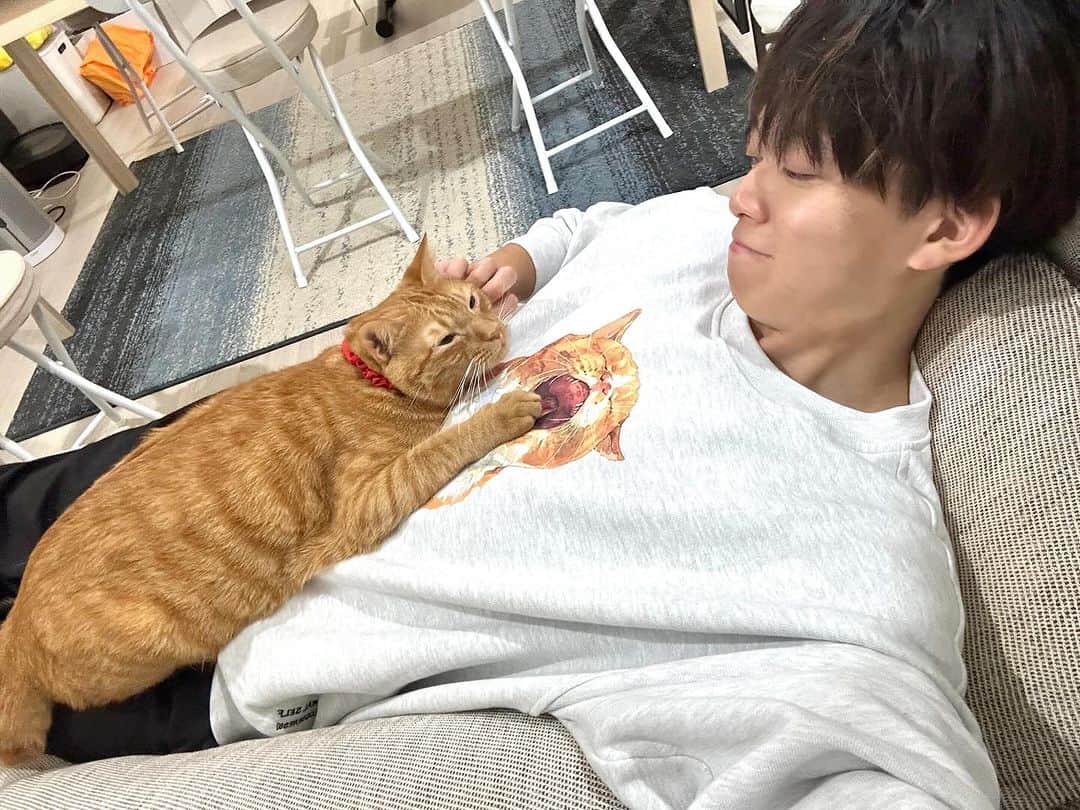 松丸亮吾のインスタグラム：「あまりにも幸せすぎてニヤける… リドくん好きだ  #猫」