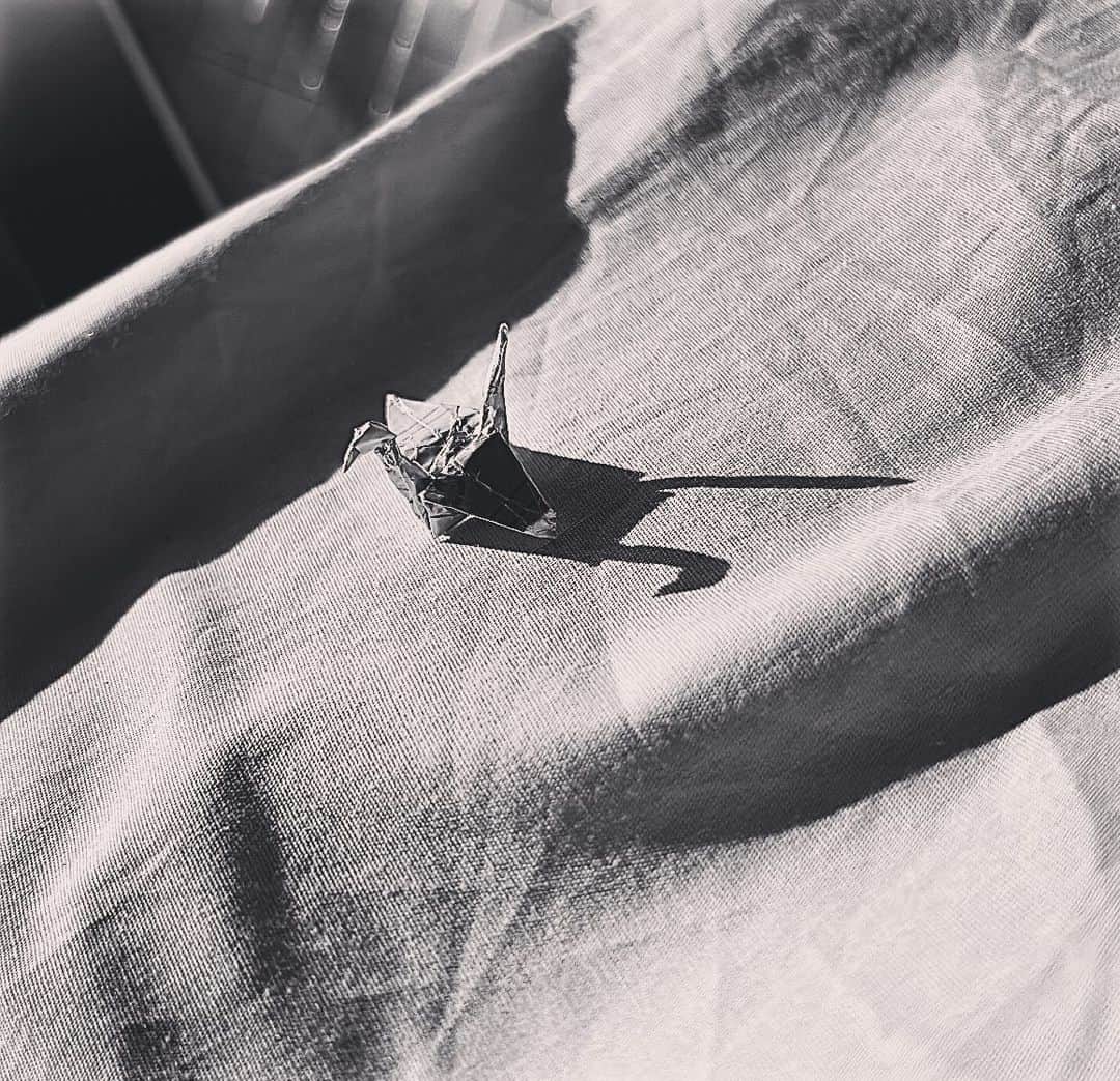 坂井翔さんのインスタグラム写真 - (坂井翔Instagram)「鶴の恩返しに期待」10月27日 18時35分 - shiyou0606