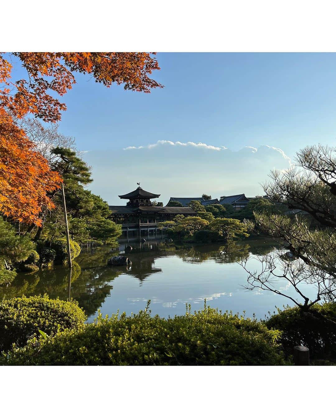 ベラミー・ヤングさんのインスタグラム写真 - (ベラミー・ヤングInstagram)「Oh, #Kyoto ! W🤩W, are you WONDERFUL! So happy to get to meet you!! #NijoCastle #HeianJingu #ChaoChaoDumplings (delicious #vegan dumplings, y'all🎉 & plenty of meaty ones too for P😄) #FushimiInari #SenbonTorii #LeClubJazz 🤓🎶🎉 & so many new friends made around town. Kyoto, you are crazy cool. Thank you for our time together. See you again very soon I hope! 💗 Hope too that everyone is having a great day! Sending each of you much love from #Japan!! 🇯🇵🥰❤️🎉」10月27日 18時28分 - bellamyyoung