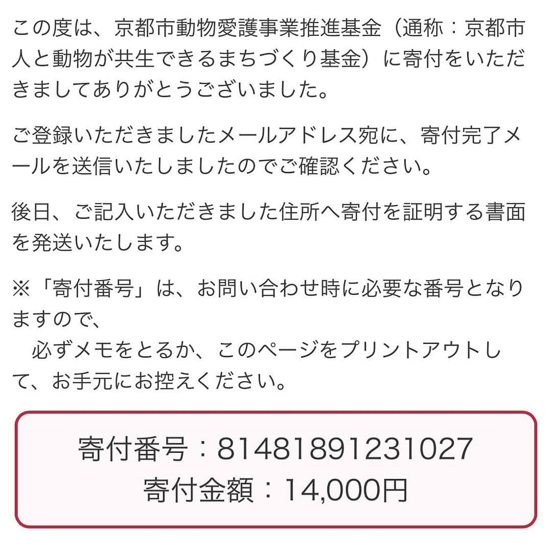 猫カフェきぶん屋さんのインスタグラム写真 - (猫カフェきぶん屋Instagram)「京都市ふるさと納税結果 多頭飼育崩壊でバタバタですっかり忘れてました😅  いいね　11013件 保存 2066件 フォロー増　75人  14000円分のふるさと納税を京都市にしました。 こちらはふるさとチョイスなどではできず、市の独自のサイトから返礼品なしでしか納税できませんが、応援したい方はGoogleで「京都　動物愛護　ふるさと納税」で検索して出てくるサイトを使ってください。  京都に旅行することがあったら一度寄ってもらいたいセンター。 京都の中心地からもそれなりに近くアクセスが良いです。 コロナ前に行った時は土日はとにかくボランティアさんや里親希望の方が多く、活気のある場所でした。  僕自身、動物愛護センターは殺処分するところだと思っていましたがこのセンターを訪問したことを機にガラッと考え方が変わりました。 殺処分がゼロではないけれど、行政とボランティアとが協力してなんとか減らそうとしている姿勢が訪れるとわかります。  できることが増えていくためにも予算は必須です。 犬猫の問題を解決したい方はぜひぜひ各地の自治体で使い道が動物愛護の枠があるところに納税してください😊  #ふるさと納税 #動物愛護 #京都 #京都動物愛護センター」10月27日 18時47分 - nekocafekibunya