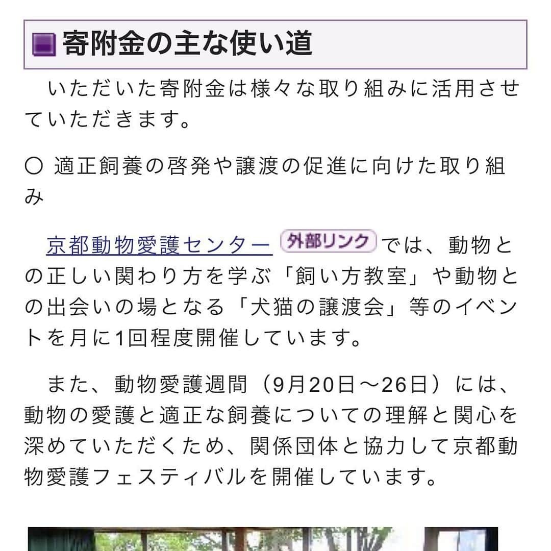 猫カフェきぶん屋さんのインスタグラム写真 - (猫カフェきぶん屋Instagram)「京都市ふるさと納税結果 多頭飼育崩壊でバタバタですっかり忘れてました😅  いいね　11013件 保存 2066件 フォロー増　75人  14000円分のふるさと納税を京都市にしました。 こちらはふるさとチョイスなどではできず、市の独自のサイトから返礼品なしでしか納税できませんが、応援したい方はGoogleで「京都　動物愛護　ふるさと納税」で検索して出てくるサイトを使ってください。  京都に旅行することがあったら一度寄ってもらいたいセンター。 京都の中心地からもそれなりに近くアクセスが良いです。 コロナ前に行った時は土日はとにかくボランティアさんや里親希望の方が多く、活気のある場所でした。  僕自身、動物愛護センターは殺処分するところだと思っていましたがこのセンターを訪問したことを機にガラッと考え方が変わりました。 殺処分がゼロではないけれど、行政とボランティアとが協力してなんとか減らそうとしている姿勢が訪れるとわかります。  できることが増えていくためにも予算は必須です。 犬猫の問題を解決したい方はぜひぜひ各地の自治体で使い道が動物愛護の枠があるところに納税してください😊  #ふるさと納税 #動物愛護 #京都 #京都動物愛護センター」10月27日 18時47分 - nekocafekibunya