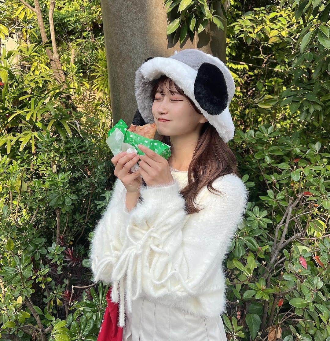 あかちゃすさんのインスタグラム写真 - (あかちゃすInstagram)「沢山写真撮ってくれたけん、 いつもと雰囲気違うがも載せてみる🐰🤍  歯並び良くないが最近のコンプレックスで、 基本笑うた写真投稿することないがやけど、 せっかく楽しくて笑いまくったけん載せてみた（''ˊᗜˋ''）🐻‍🍮🍅❌🍎  最後の動画はみなみんが撮ってくれよるがをそば湯さんが撮ってくれよった(笑)  2人ともありがとうﾀﾁ(ง ˙˘˙ )วﾀﾁ  #あざとお洋服#あざとコーデ #あざと服 #ロングブーツ #ロングブーツコーデ#冬服#冬服コーデ#秋服#秋服コーデ#ニットワンピ#ニットワンピース #ニットワンピースコーデ #ユニバ#ユニバコーデ #ユニバーサルスタジオジャパン #ユニバハロウィン」10月27日 18時48分 - chas._.22