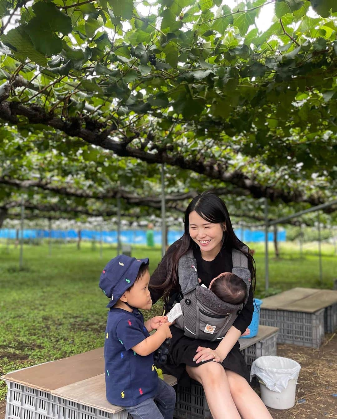 田中響子さんのインスタグラム写真 - (田中響子Instagram)「今年も行ってきましたぶどう狩り🍇  今年はナガノパープルにも目覚めたので シャインマスカットだけでなく ナガノパープルも食べられるところへ。  時期も終わりかけだったので貸切。 お腹いっぱいいただきました！  お土産にナガノパープルと クイーンルージュを買って 軽井沢でお蕎麦を食べて帰宅🌿  都内からは少し遠かったけど 来年も行けたらいいな〜！  何も気にせず持ってきたお帽子、 Tシャツと同じ柄だった、、ごめんね🥹」10月27日 19時01分 - coco.golf