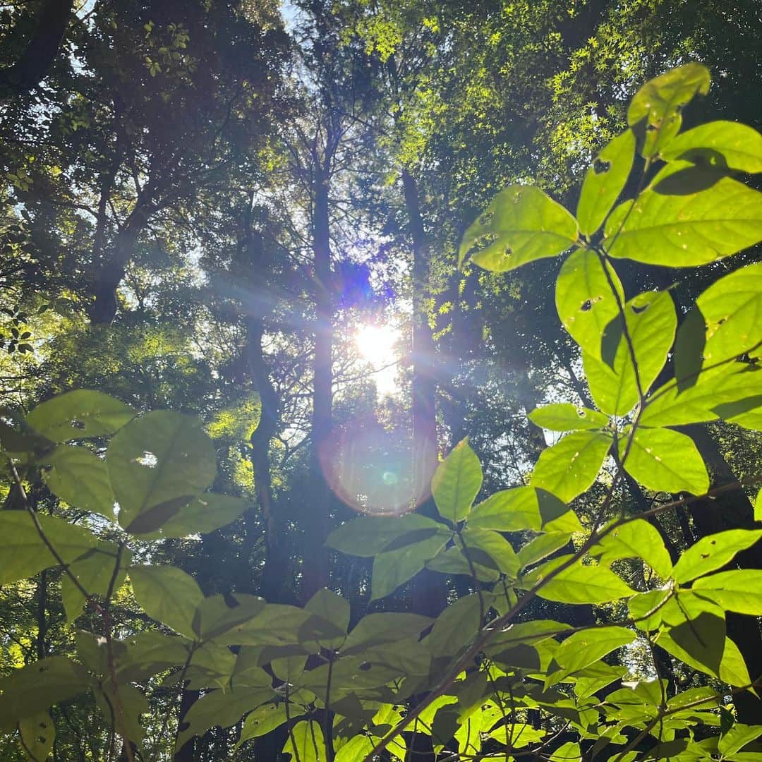 松本妃代さんのインスタグラム写真 - (松本妃代Instagram)「少し前の福岡🌿🌳 強くて優しい自然たくさん〜」10月27日 18時56分 - kiyomatsumoto