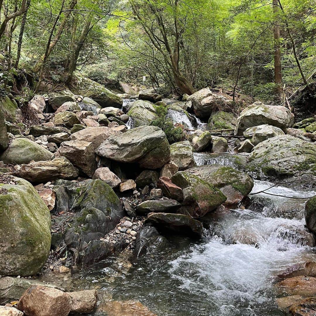 松本妃代さんのインスタグラム写真 - (松本妃代Instagram)「少し前の福岡🌿🌳 強くて優しい自然たくさん〜」10月27日 18時56分 - kiyomatsumoto