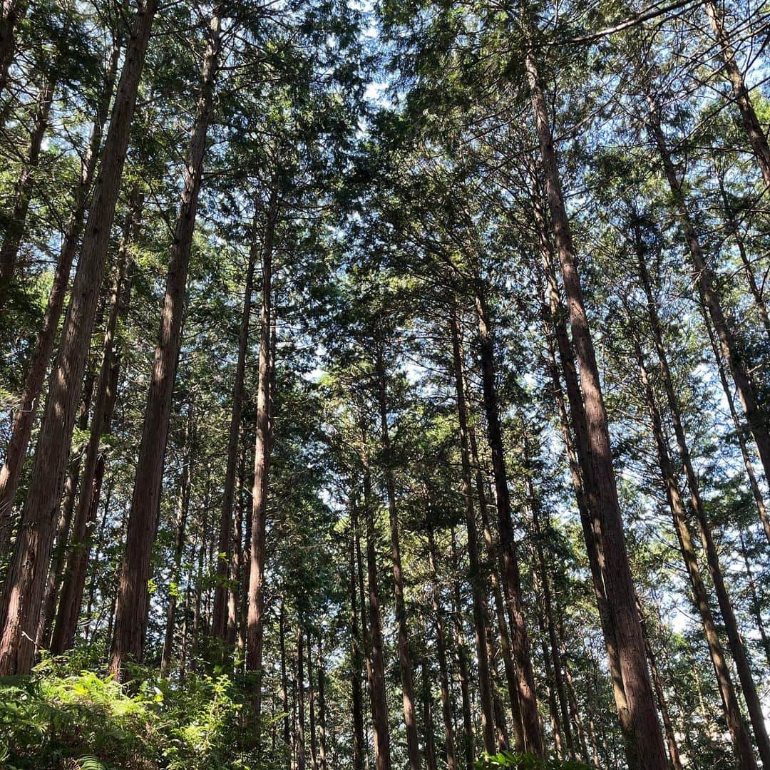 松本妃代さんのインスタグラム写真 - (松本妃代Instagram)「少し前の福岡🌿🌳 強くて優しい自然たくさん〜」10月27日 18時56分 - kiyomatsumoto