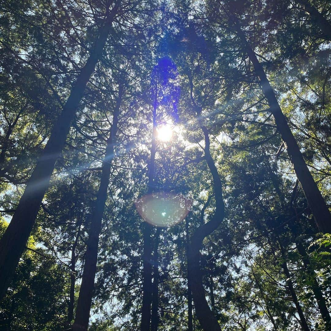 松本妃代のインスタグラム：「少し前の福岡🌿🌳 強くて優しい自然たくさん〜」