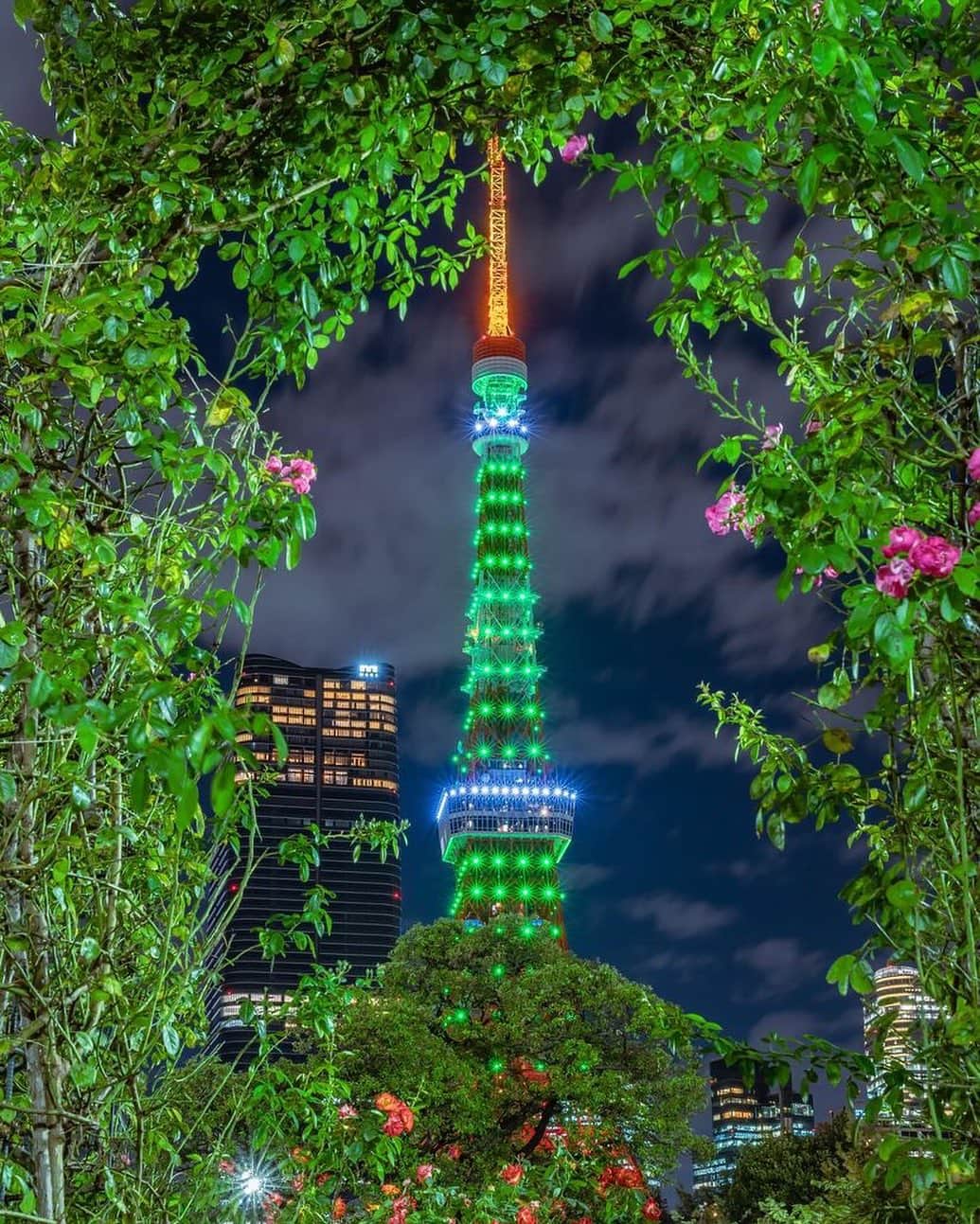 東京タワーのインスタグラム：「. グリーンに包まれ グリーンに輝く東京タワー🗼✨   10月16日（月）に点灯された グリーンリボンデーのスペシャルライトアップが 最高に引き立つ構図です！   本日は、Your Tokyo Tower🗼から @taku_photo47 さんのお写真をご紹介！   素敵なお写真をありがとうございました😊  ———————————  【 お知らせ 】  ■ Your Tokyo Tower 🗼  # your_tokyotowerで あなたの東京タワーをリポスト！  @tokyotower_official の タグ付けをしてくれると見つけやすいよ！  皆様からの投稿 どしどしお待ちしております！  ■ 公式LINE  東京タワー公式LINEでは 東京タワーのイベント情報を お届けしています！  詳細はプロフィールにあるリンクから↓ @tokyotower_official  ———————————  #東京タワー #東京タワー🗼  #tokyotower #tokyotower🗼  #グリーン #green」