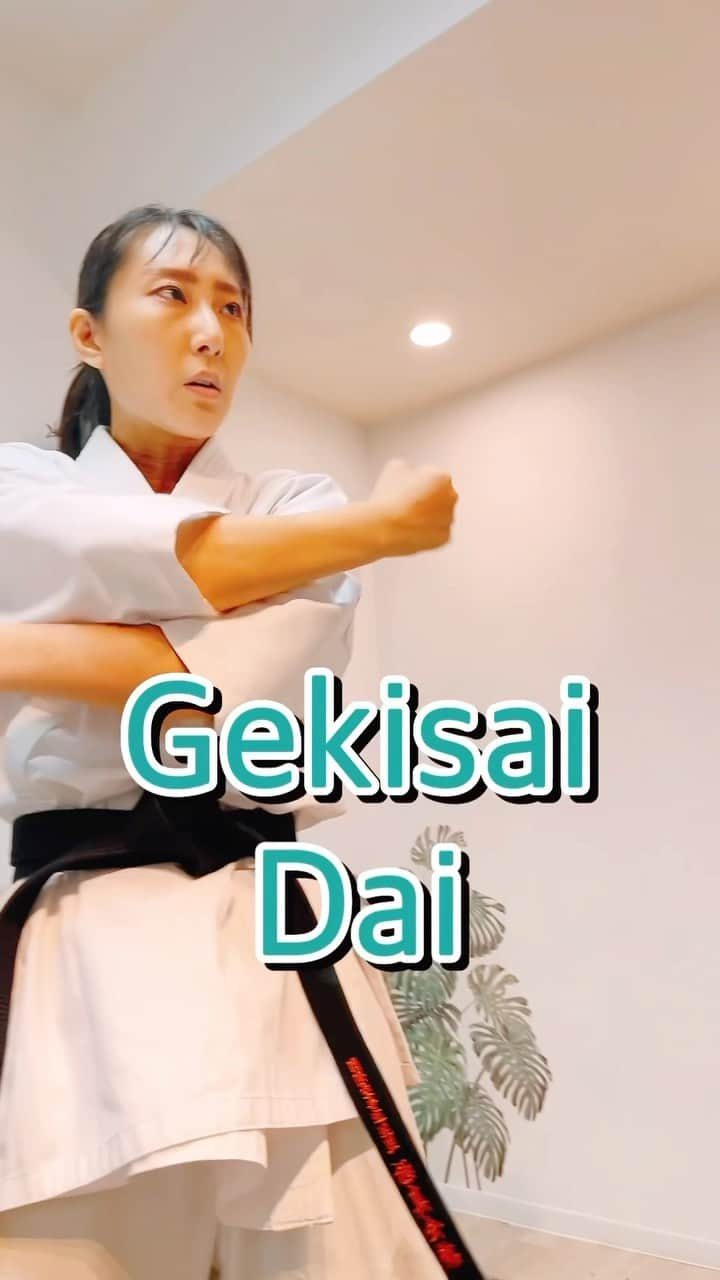 浜井美香のインスタグラム：「#kyokushin #karate #martialarts #kick #kumite #warrior #karatekid #Киокушин  #каратэ #空手 #تمرين  #japan」