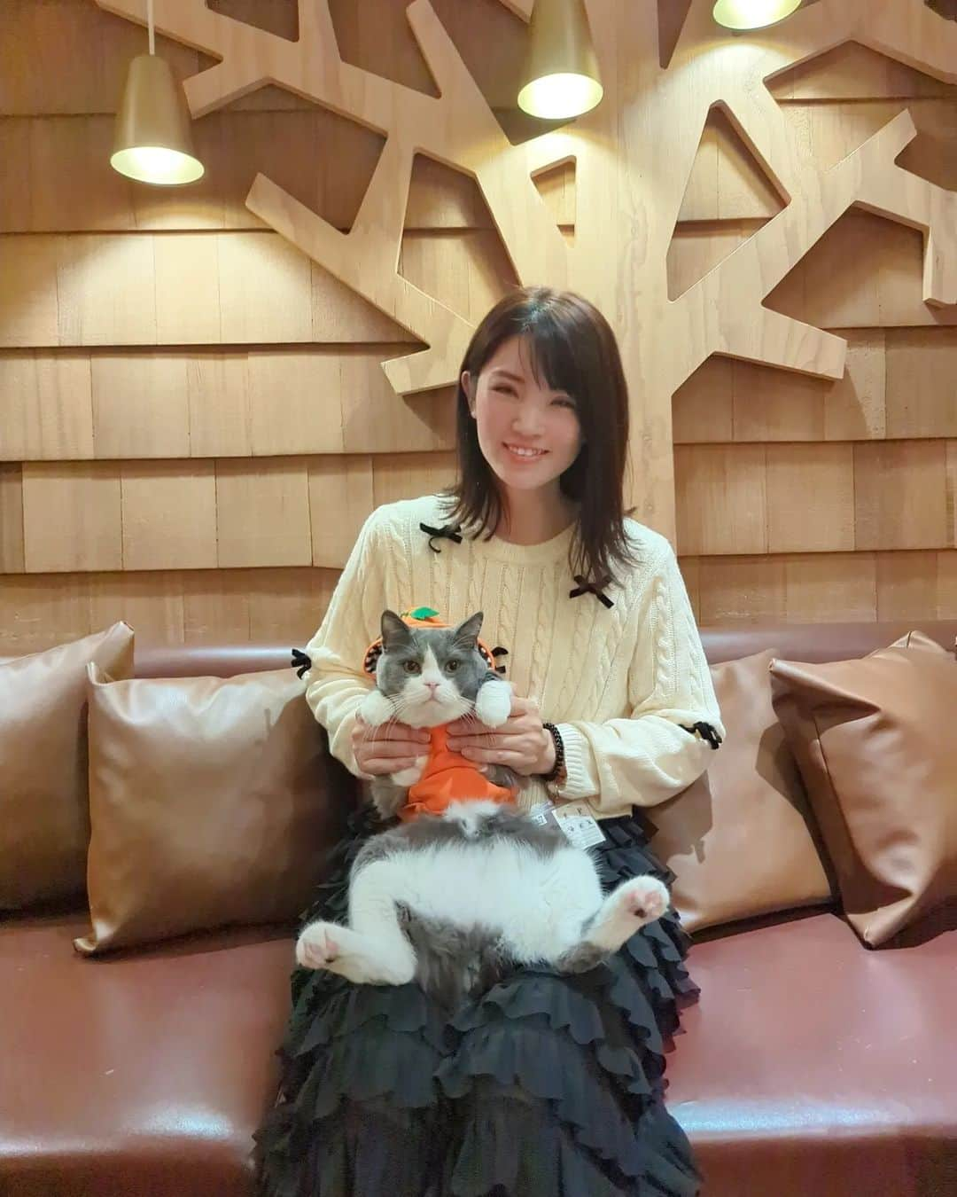 三宅裕子さんのインスタグラム写真 - (三宅裕子Instagram)「猫カフェＭＯＣＨＡ🐱 @mocha.ikebukurowest 池袋西口店 ハロウィンイベント開催中❣️  モカの猫ちゃん達が仮装して お出迎えしてくれたよ☺️🩷  もう可愛すぎた❣️ ソルくん(pic.2)は始め寝てたんだけれど #にゃんハロセット 🐾 を頼んだら起きてくれた笑✨  おやつがまた可愛い♡ 他の猫ちゃん達もすごい勢いで来てくれて🤭  これを頼むだけで人気者に❣️ なんと抱っこして2shotを撮ることができる セットなんだよ🥺  この日はソルくんのお話を真面目にきいてた 瞬くんが可愛いすぎて思わず 1枚目にしてしまった🤭⁡ ⁡(ストーリーズに他の写真も⁡ ⁡載せたのでみてみてね❤) ⁡ ⁡ ソルくんお写真撮ってくれて ありがとう🎶  にゃんハロセットは ハロウィン当日までだよ！🐈‍⬛🦇🕸  🎈⁡住所⁡ ⁡猫カフェモカ池袋西口店 東京都豊島区西池袋1-15-6-3F  JR池袋駅西口より徒歩1分 （1Fがセブンイレブンのビルです）  電話番号 03-5927-8828  営業時間 10:00 ～ 20:00（最終入店 19:30） 定休日：年中無休 予約不要、お気軽にお越しください。 ※6歳から入店可能です。 ※6歳以上12歳以下の方は⁡ ⁡保護者同伴が必要となります。  ⁡詳しくは⁡👇👇👇 ⁡@catcafemocha⁡ ⁡@mocha.ikebukurowest ⁡⁡ ⁡⁡ ⁡𑁍𓏸𓈒⁡ PR ⁡ #猫カフェモカ⁡ ⁡ #猫カフェモカ池袋西口店⁡ ⁡ #池袋猫カフェ⁡ ⁡ #カフェ好きな人と繋がりたい⁡ ⁡ #猫カフェmocha⁡ ⁡ #猫カフェmocha公式アンバサダー  ⁡ #苺好きな人と繋がりたい⁡ ⁡⁡ #mocha瞬  #mochaソル ⁡⁡ ⁡ #名付け親 ⁡ #mochaタロ美  #mochaほくろ  #mochaしゃけ  #親子でお出かけ⁡ ⁡ #中学生ママ  ⁡⁡」10月27日 20時00分 - yuko_miyake