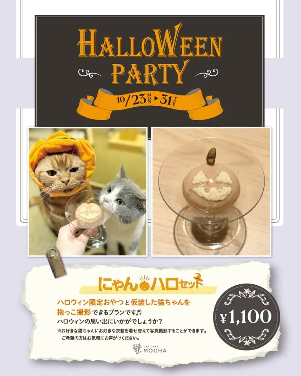 三宅裕子さんのインスタグラム写真 - (三宅裕子Instagram)「猫カフェＭＯＣＨＡ🐱 @mocha.ikebukurowest 池袋西口店 ハロウィンイベント開催中❣️  モカの猫ちゃん達が仮装して お出迎えしてくれたよ☺️🩷  もう可愛すぎた❣️ ソルくん(pic.2)は始め寝てたんだけれど #にゃんハロセット 🐾 を頼んだら起きてくれた笑✨  おやつがまた可愛い♡ 他の猫ちゃん達もすごい勢いで来てくれて🤭  これを頼むだけで人気者に❣️ なんと抱っこして2shotを撮ることができる セットなんだよ🥺  この日はソルくんのお話を真面目にきいてた 瞬くんが可愛いすぎて思わず 1枚目にしてしまった🤭⁡ ⁡(ストーリーズに他の写真も⁡ ⁡載せたのでみてみてね❤) ⁡ ⁡ ソルくんお写真撮ってくれて ありがとう🎶  にゃんハロセットは ハロウィン当日までだよ！🐈‍⬛🦇🕸  🎈⁡住所⁡ ⁡猫カフェモカ池袋西口店 東京都豊島区西池袋1-15-6-3F  JR池袋駅西口より徒歩1分 （1Fがセブンイレブンのビルです）  電話番号 03-5927-8828  営業時間 10:00 ～ 20:00（最終入店 19:30） 定休日：年中無休 予約不要、お気軽にお越しください。 ※6歳から入店可能です。 ※6歳以上12歳以下の方は⁡ ⁡保護者同伴が必要となります。  ⁡詳しくは⁡👇👇👇 ⁡@catcafemocha⁡ ⁡@mocha.ikebukurowest ⁡⁡ ⁡⁡ ⁡𑁍𓏸𓈒⁡ PR ⁡ #猫カフェモカ⁡ ⁡ #猫カフェモカ池袋西口店⁡ ⁡ #池袋猫カフェ⁡ ⁡ #カフェ好きな人と繋がりたい⁡ ⁡ #猫カフェmocha⁡ ⁡ #猫カフェmocha公式アンバサダー  ⁡ #苺好きな人と繋がりたい⁡ ⁡⁡ #mocha瞬  #mochaソル ⁡⁡ ⁡ #名付け親 ⁡ #mochaタロ美  #mochaほくろ  #mochaしゃけ  #親子でお出かけ⁡ ⁡ #中学生ママ  ⁡⁡」10月27日 20時00分 - yuko_miyake