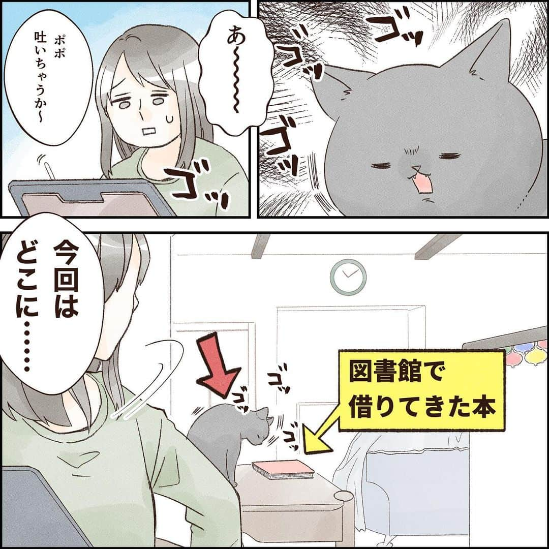 こじめのインスタグラム：「【死守】  肩はしっかり怪我しました  #猫漫画 #にゃんすたぐらむ  #保護猫 #黒猫  #コミックエッセイ #エッセイ漫画 #猫のいる暮らし #catcomic」