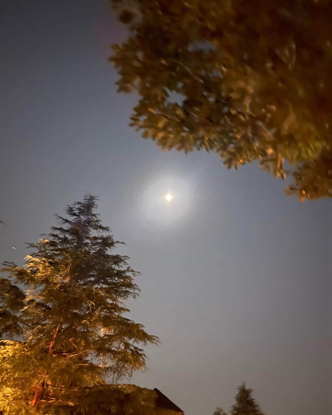 北斗晶のインスタグラム：「月が綺麗ですね。  #月 #月が綺麗ですね」