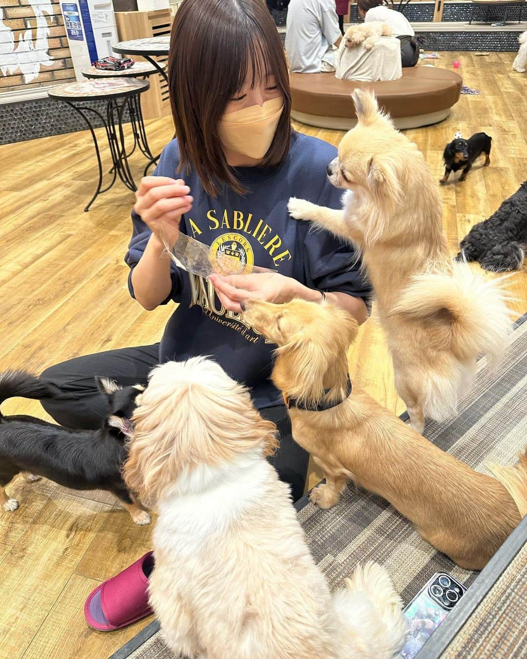 早坂梢依さんのインスタグラム写真 - (早坂梢依Instagram)「動物カフェ行きがち」10月27日 20時04分 - kozue_hayasaka