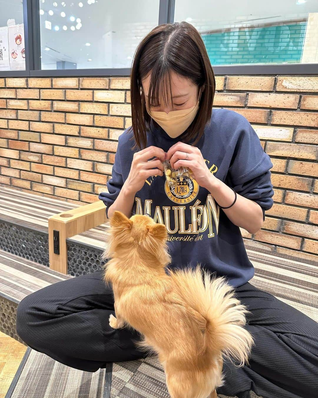 早坂梢依さんのインスタグラム写真 - (早坂梢依Instagram)「動物カフェ行きがち」10月27日 20時04分 - kozue_hayasaka