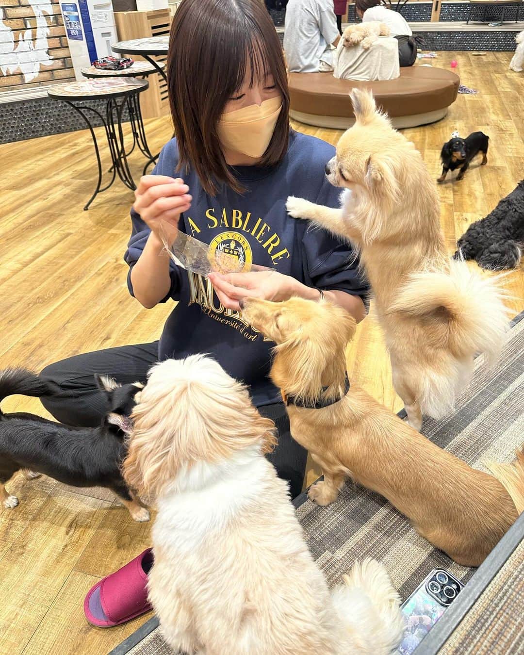 早坂梢依のインスタグラム：「動物カフェ行きがち」