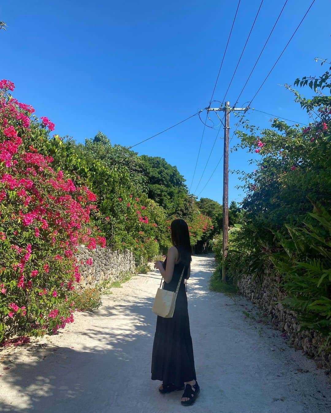 和田瞳さんのインスタグラム写真 - (和田瞳Instagram)「竹富島とってもすきだった〜！ 次石垣島行くときは1泊だけでも竹富島で過ごしたいな、そのくらい雰囲気よかった🥹‎🤍  そんな今日は紅葉を楽しんできたので写真また載せますね🍁  dress : #ZARA bag : #MARNI sandals : #NIKE #airmaxkoko」10月27日 20時15分 - hitogram0218