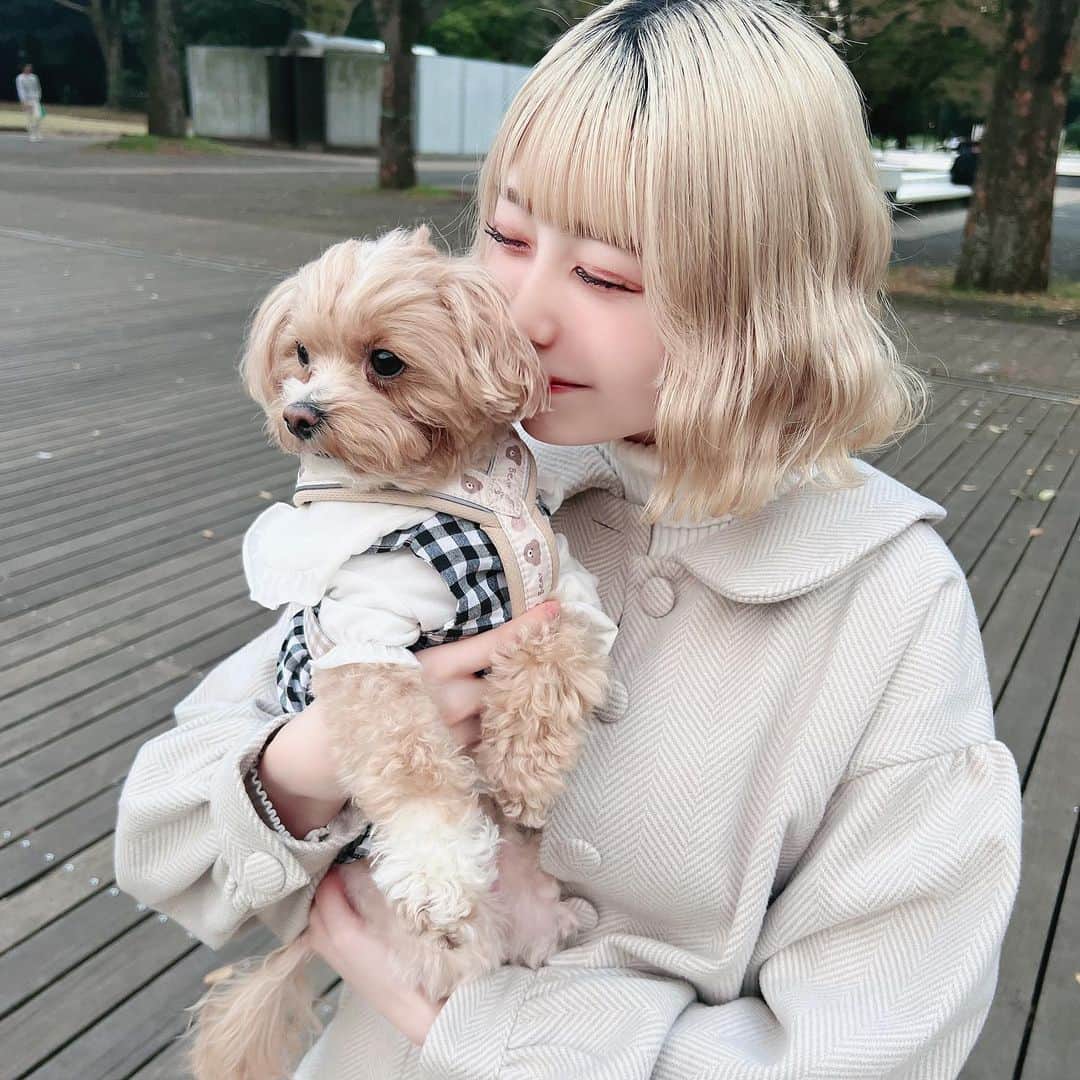 ちなぴぴのインスタグラム：「久しぶりにたくさん歩いて美味しいもの食べたよー🐶❤︎」