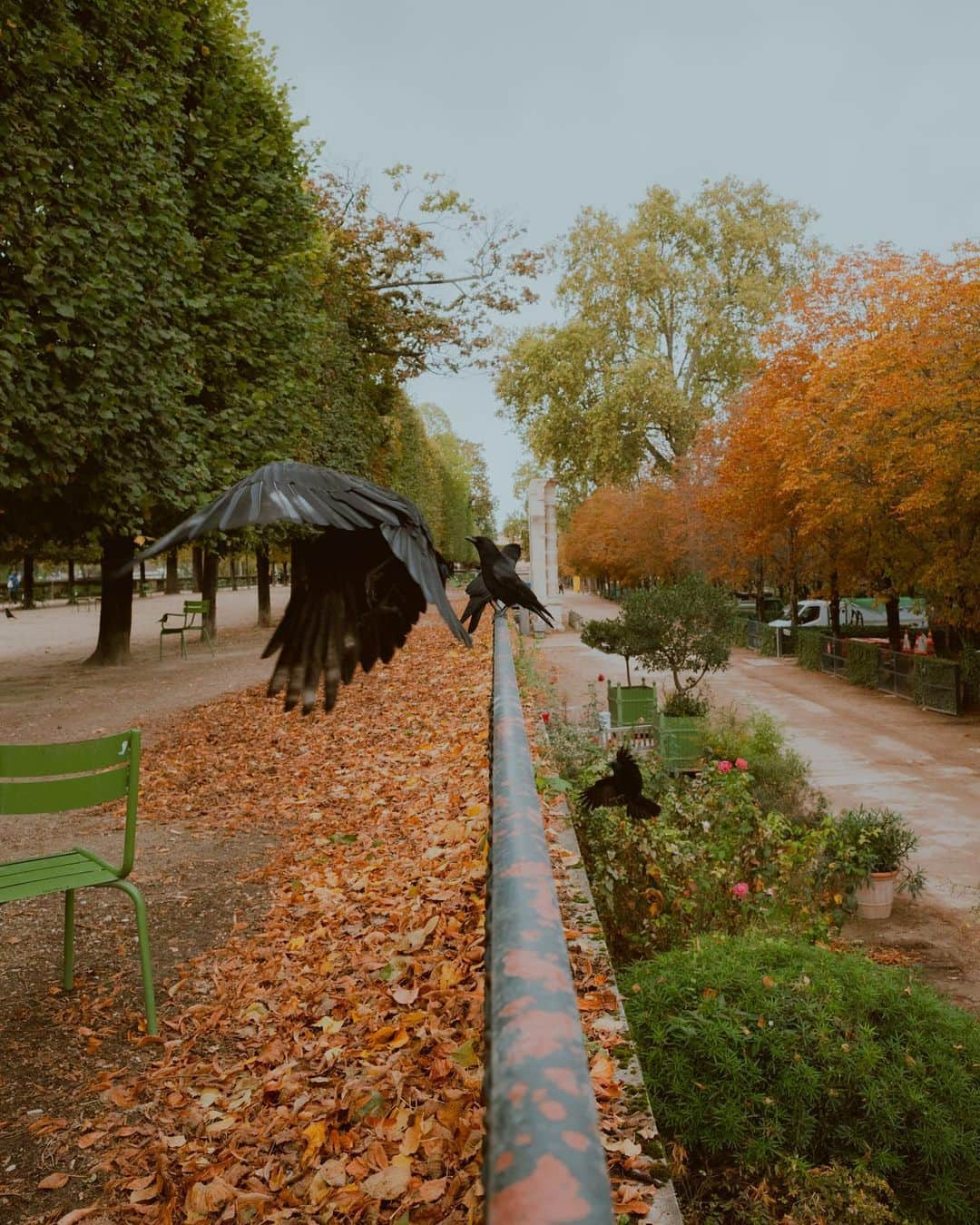 Putri Anindyaさんのインスタグラム写真 - (Putri AnindyaInstagram)「From Tuileries to République //   Another moments from last saturday in Paris. Sometimes we just need to pause some moments we see.」10月27日 20時26分 - puanindya