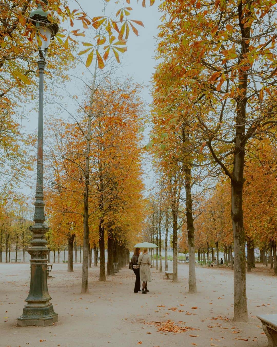 Putri Anindyaのインスタグラム：「From Tuileries to République //   Another moments from last saturday in Paris. Sometimes we just need to pause some moments we see.」
