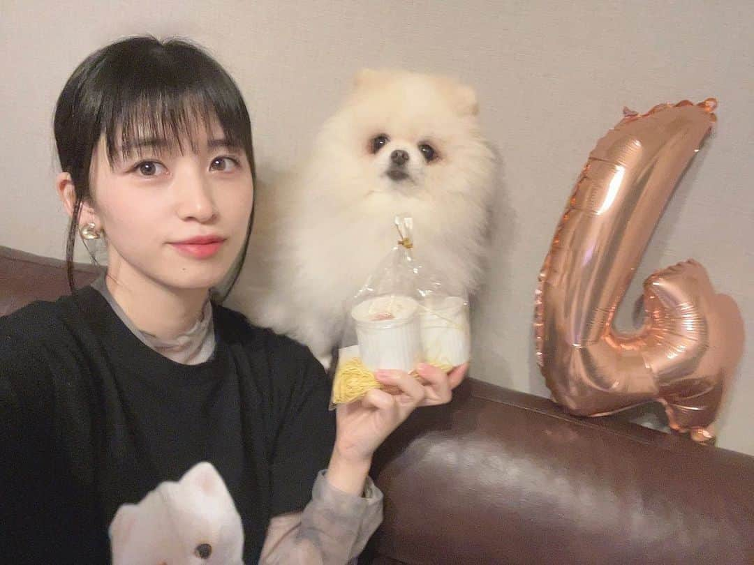 仙石みなみさんのインスタグラム写真 - (仙石みなみInstagram)「. 🧁 投稿遅れちゃったけど、、なぎお誕生日おめでとう♡ いつもお姉ちゃんしてくれてありがとう☺︎ずっと大好き！  #ポメラニアン #犬 #誕生日 #pomeranian #dog」10月27日 20時38分 - sengoku_minami