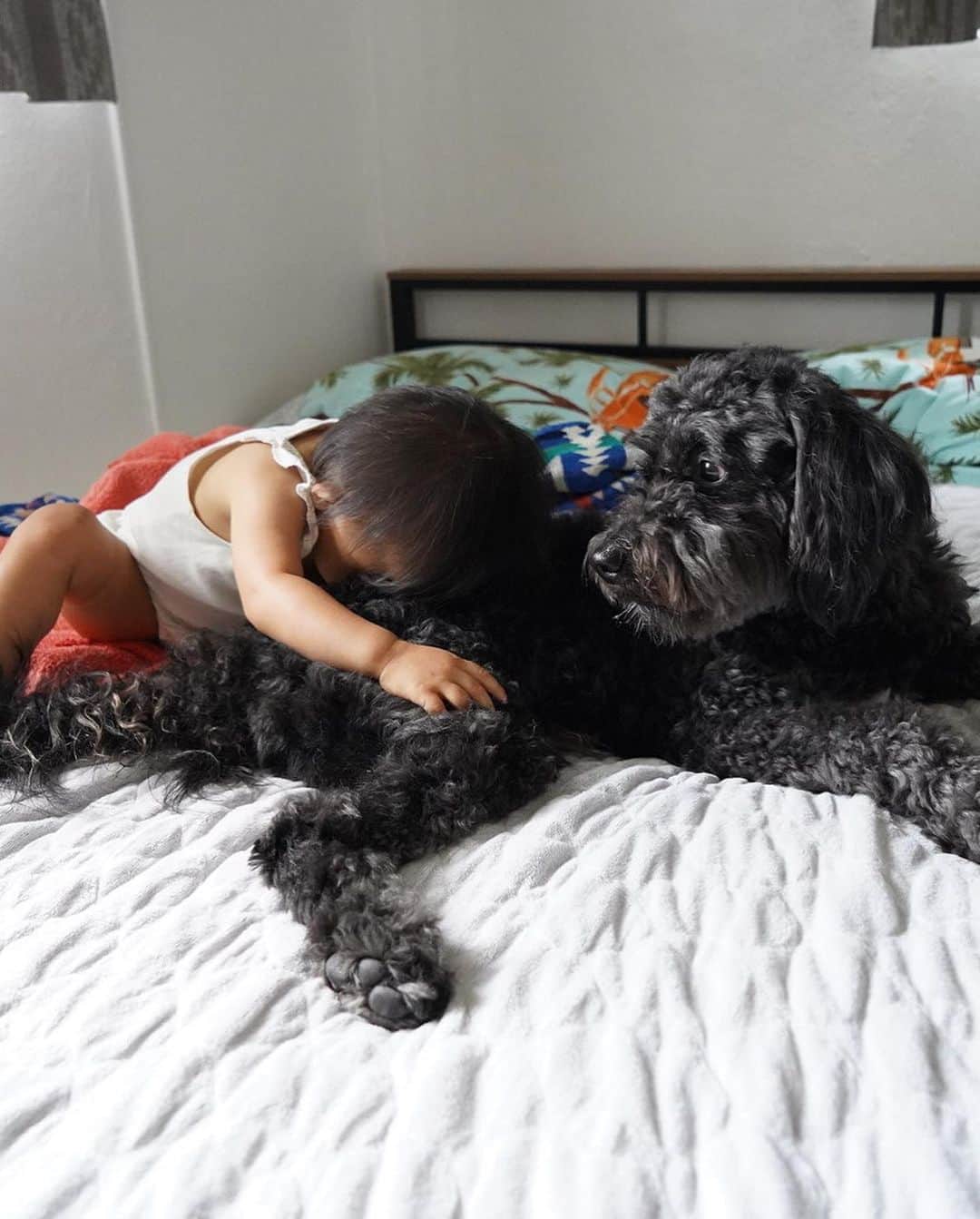 ANNA さんのインスタグラム写真 - (ANNA Instagram)「今日はうちの愛犬、コテンのお誕生日🎂 7歳になりました🧡 もうシニア犬の仲間入りだぁ💭  これからも莉愛から溢れんばかりの愛情をたっぷり受けながらw元気いっぱい過ごしてほしいです🐕‍🦺  #赤ちゃんと犬のいる暮らし #兄妹 #dogmom #1歳女の子ママ」10月27日 20時55分 - anna_flare