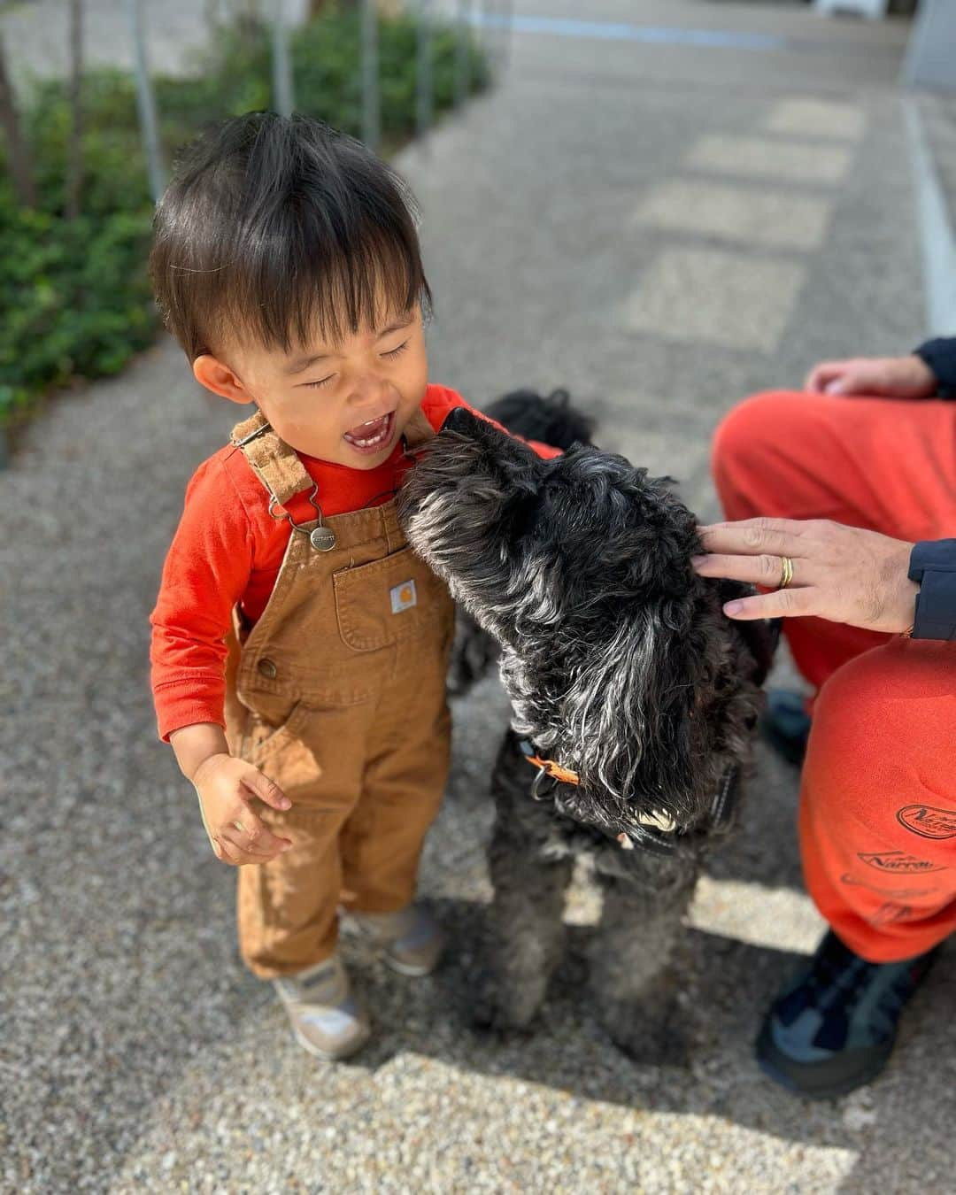 ANNA さんのインスタグラム写真 - (ANNA Instagram)「今日はうちの愛犬、コテンのお誕生日🎂 7歳になりました🧡 もうシニア犬の仲間入りだぁ💭  これからも莉愛から溢れんばかりの愛情をたっぷり受けながらw元気いっぱい過ごしてほしいです🐕‍🦺  #赤ちゃんと犬のいる暮らし #兄妹 #dogmom #1歳女の子ママ」10月27日 20時55分 - anna_flare